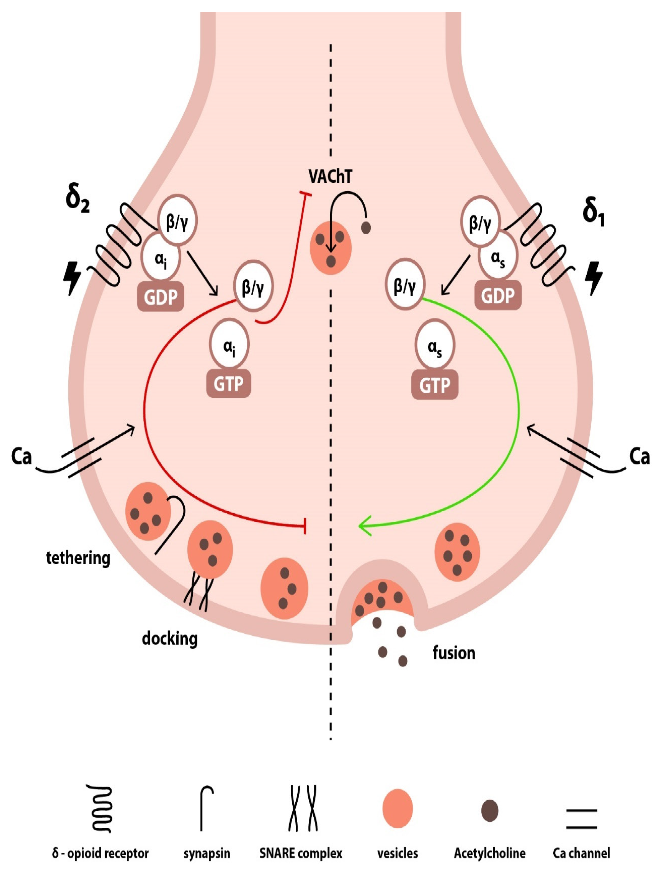 Jcm 14 02657 g002 Jcm 14 02657 g002