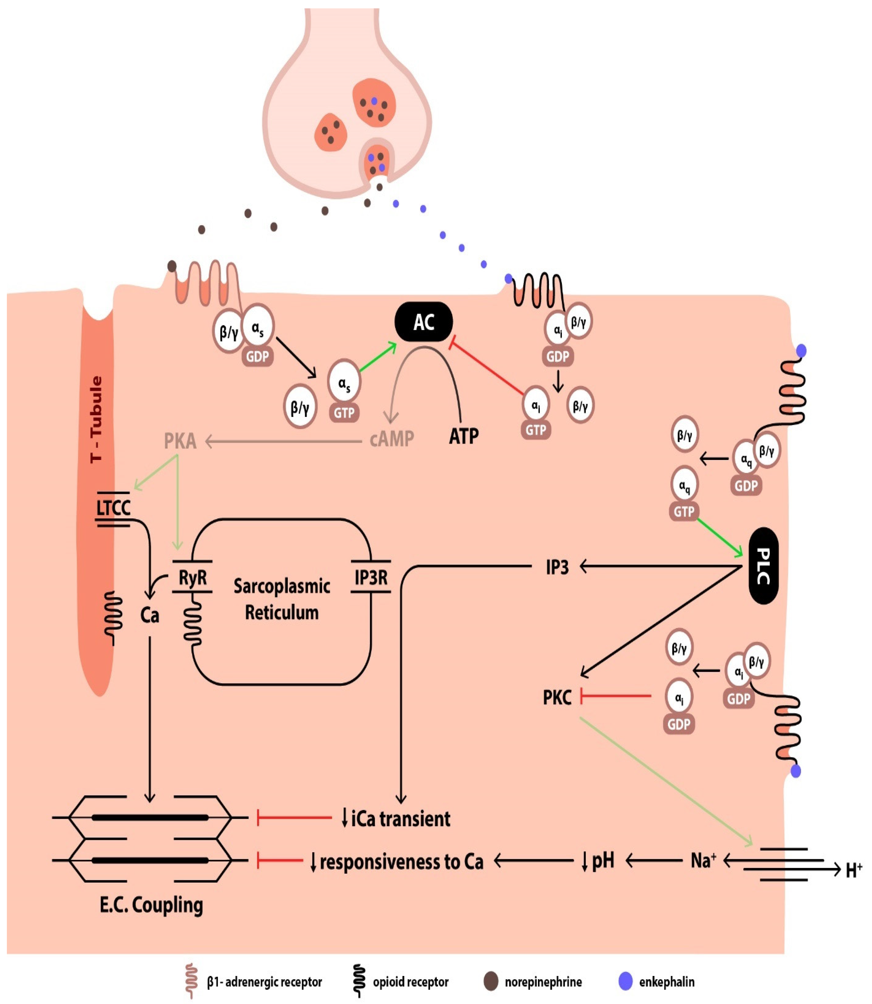 Jcm 14 02657 g003 Jcm 14 02657 g003