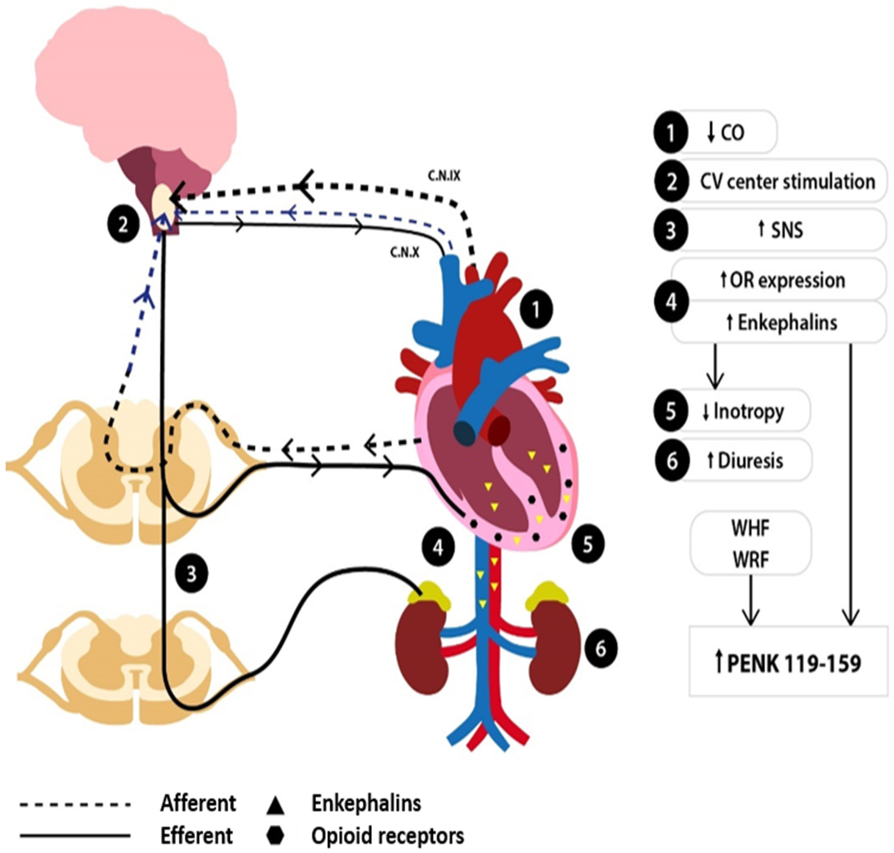 Jcm 14 02657 g004 Jcm 14 02657 g004