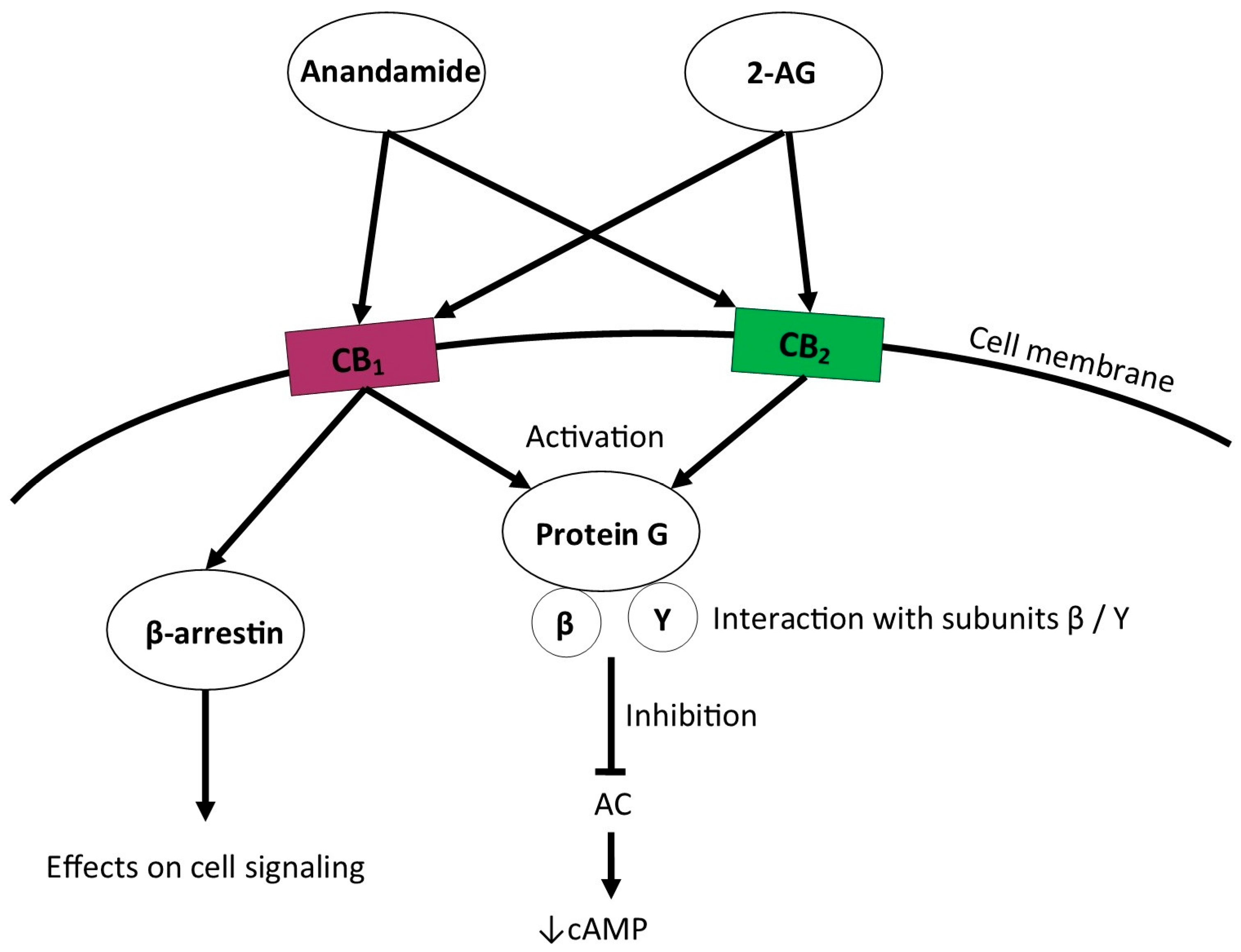 Jcm 14 02851 g002 Jcm 14 02851 g002