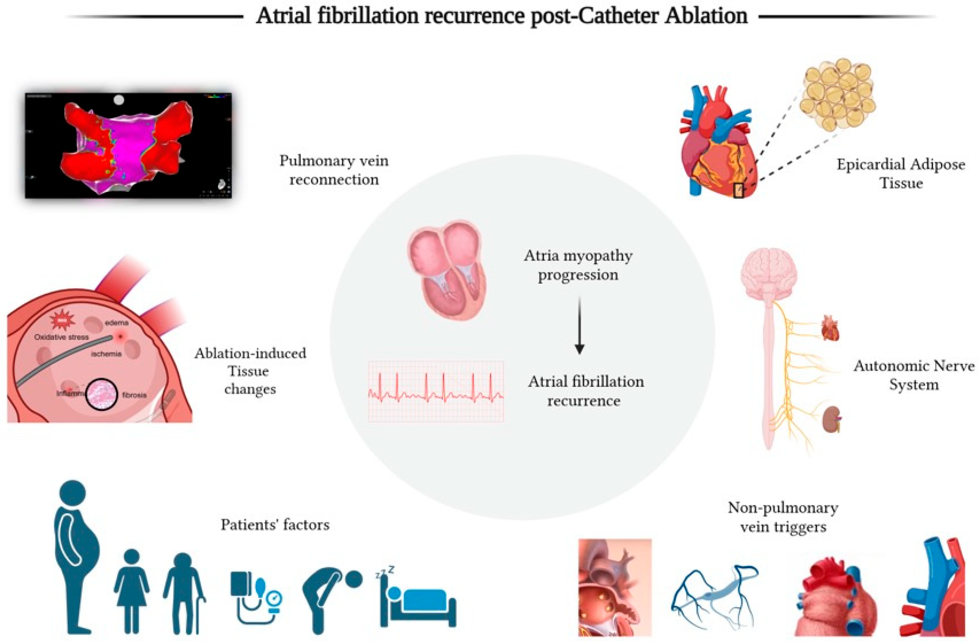 Jcm 14 02919 g001 Jcm 14 02919 g001