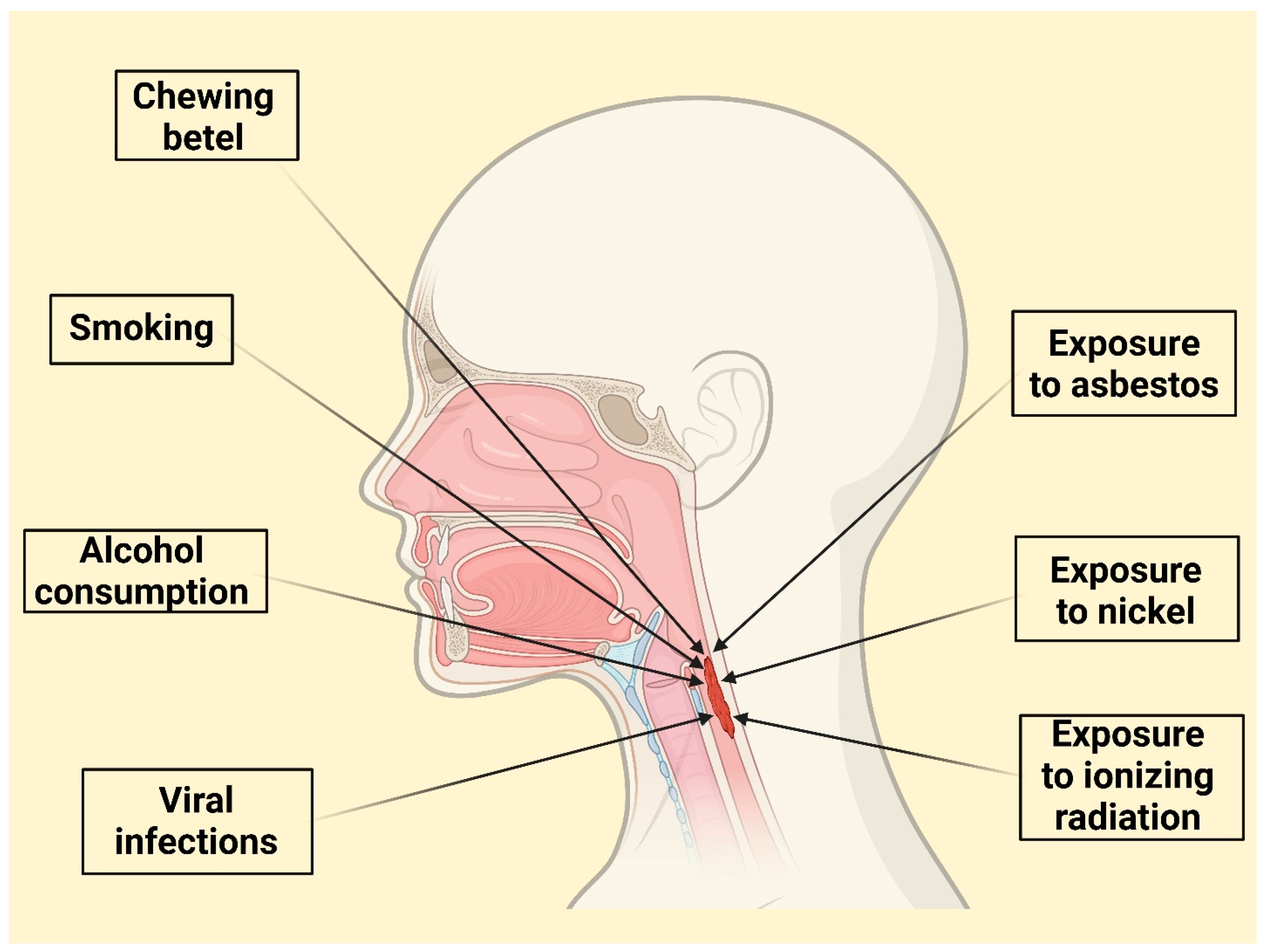 Jcm 14 03367 g001 Jcm 14 03367 g001
