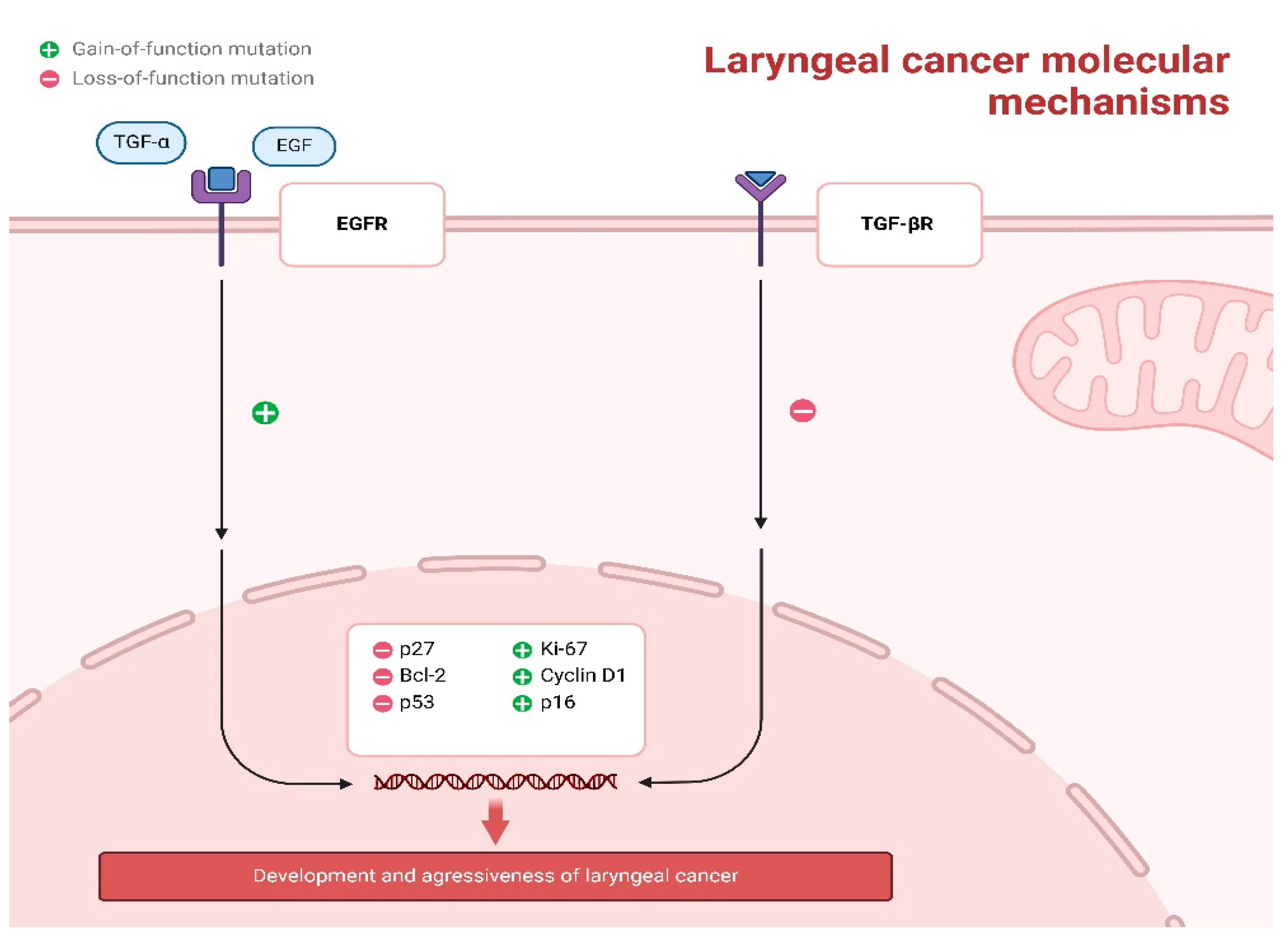 Jcm 14 03367 g002 Jcm 14 03367 g002