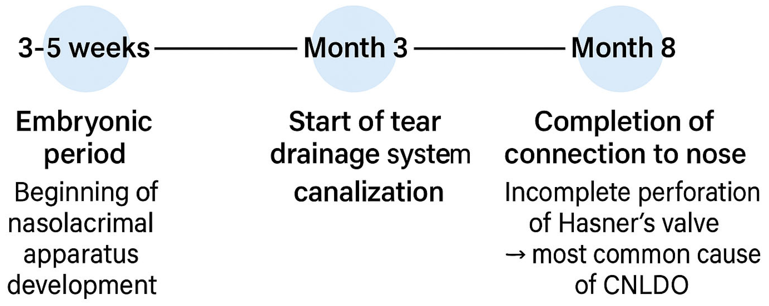Jcm 14 03716 g001 Jcm 14 03716 g001