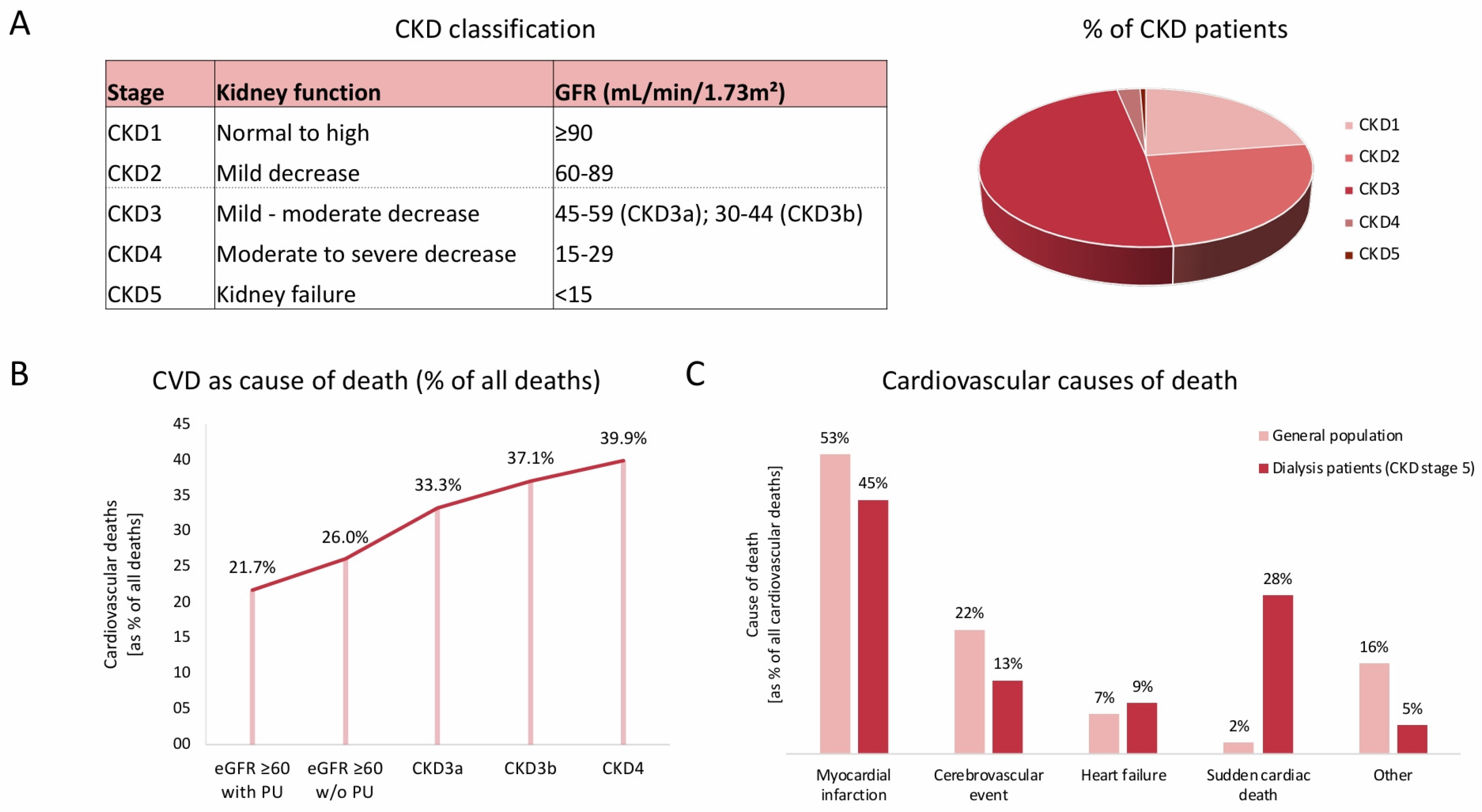 Jcm 14 04567 g001 Jcm 14 04567 g001