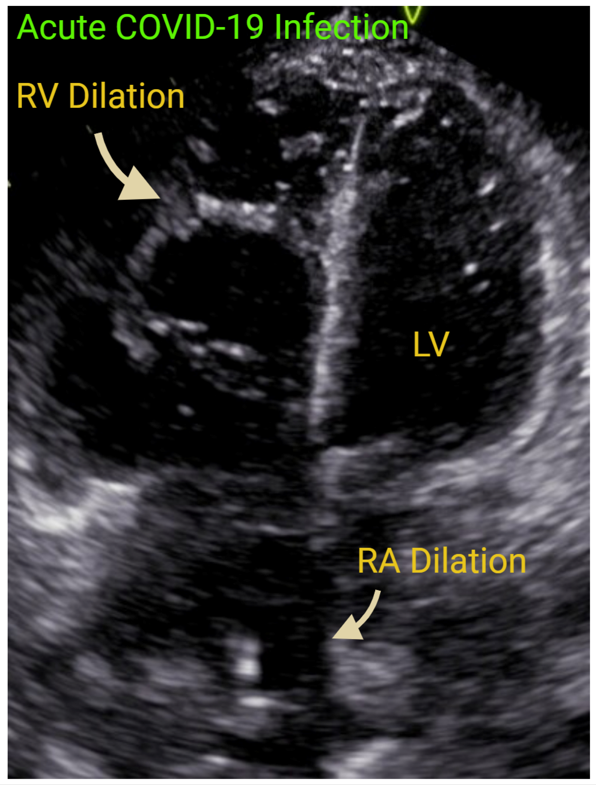 Jcm 14 05505 g007 Jcm 14 05505 g007