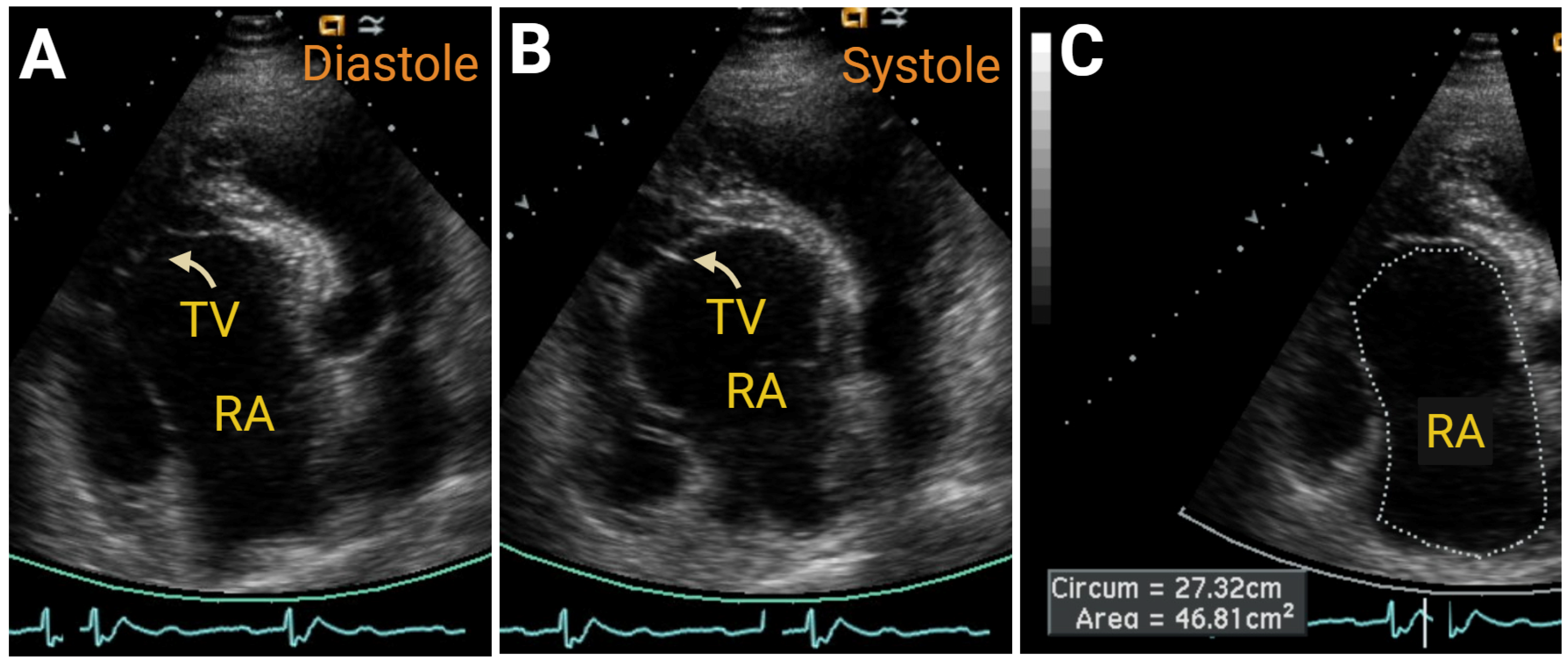 Jcm 14 05505 g010 Jcm 14 05505 g010