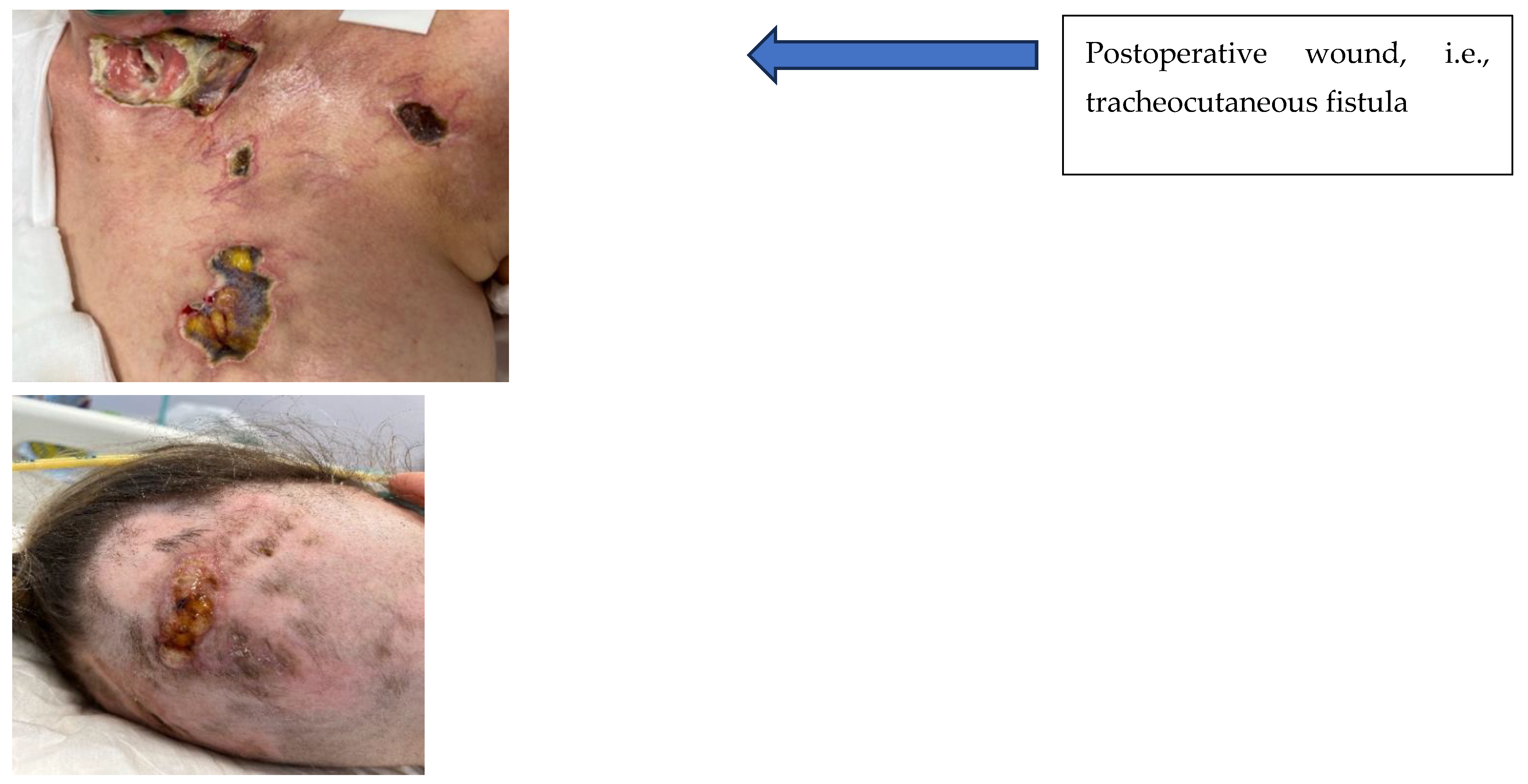 Jcm 14 05634 g002 Jcm 14 05634 g002