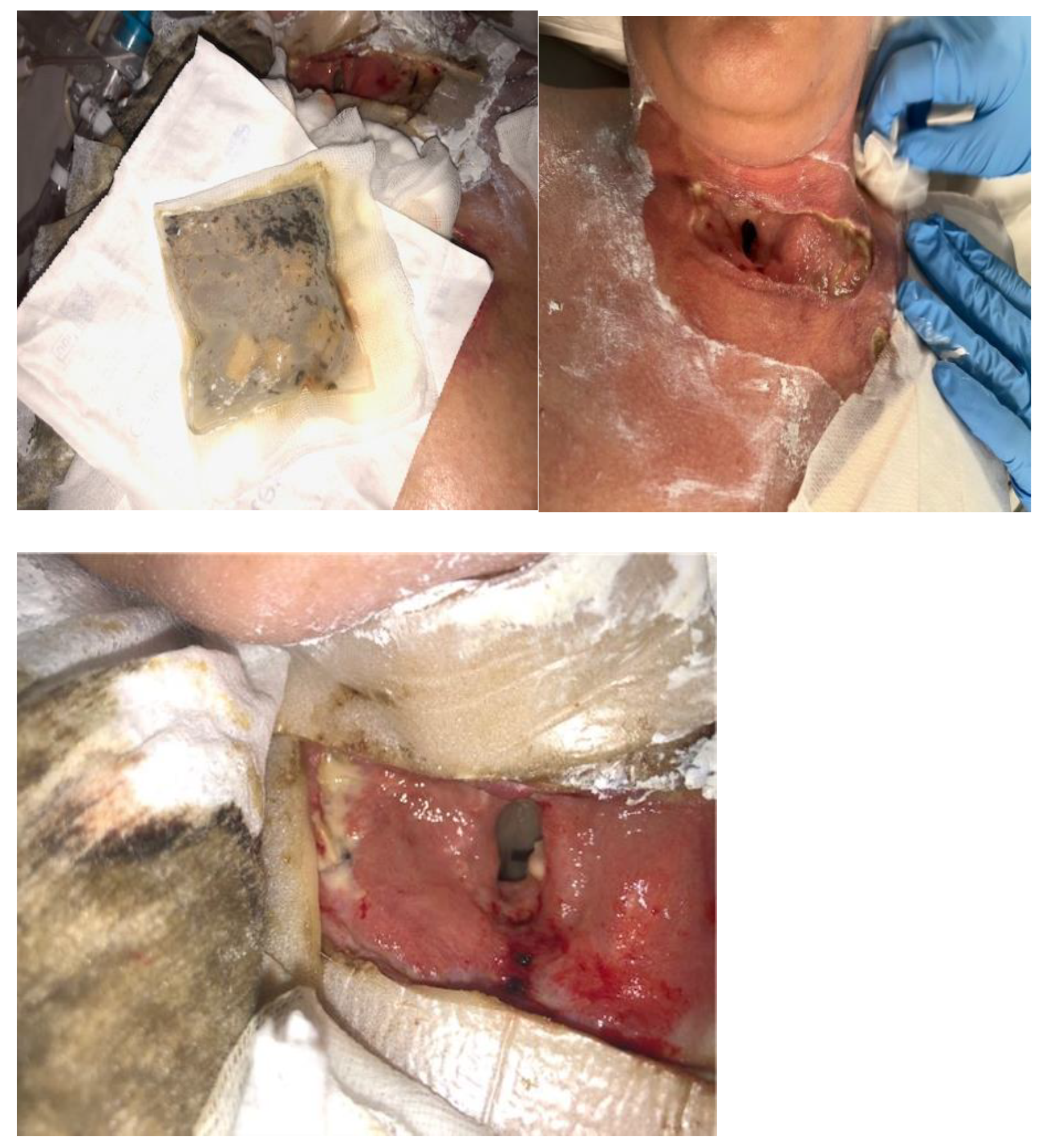 Jcm 14 05634 g004b Jcm 14 05634 g004b