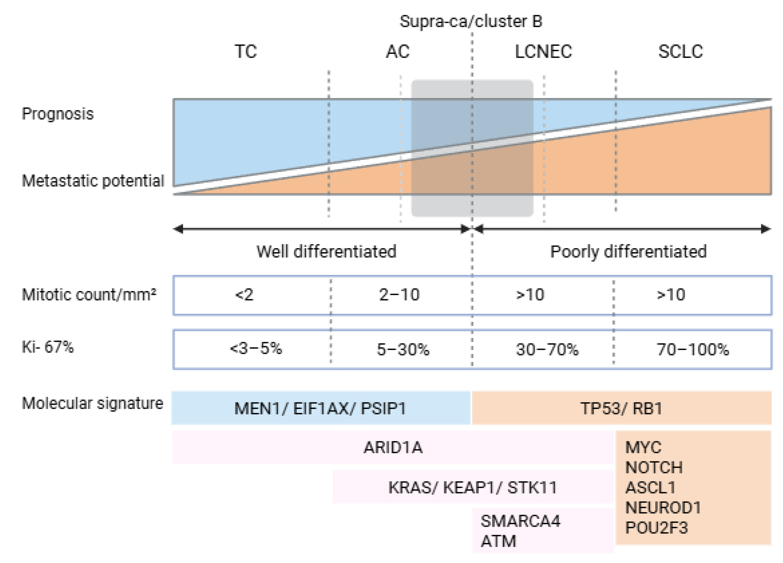 Jcm 14 05733 g001 Jcm 14 05733 g001