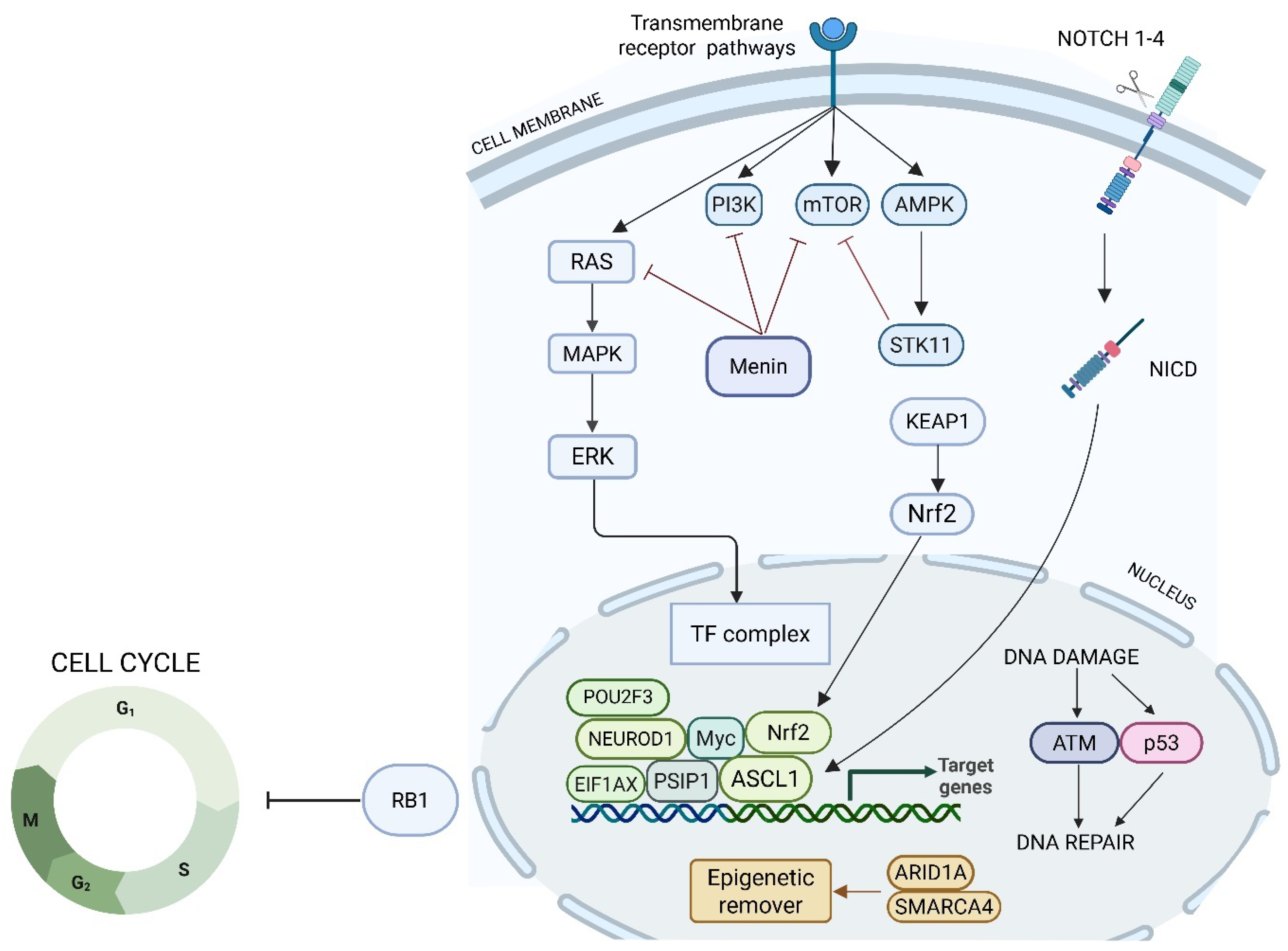 Jcm 14 05733 g002 Jcm 14 05733 g002