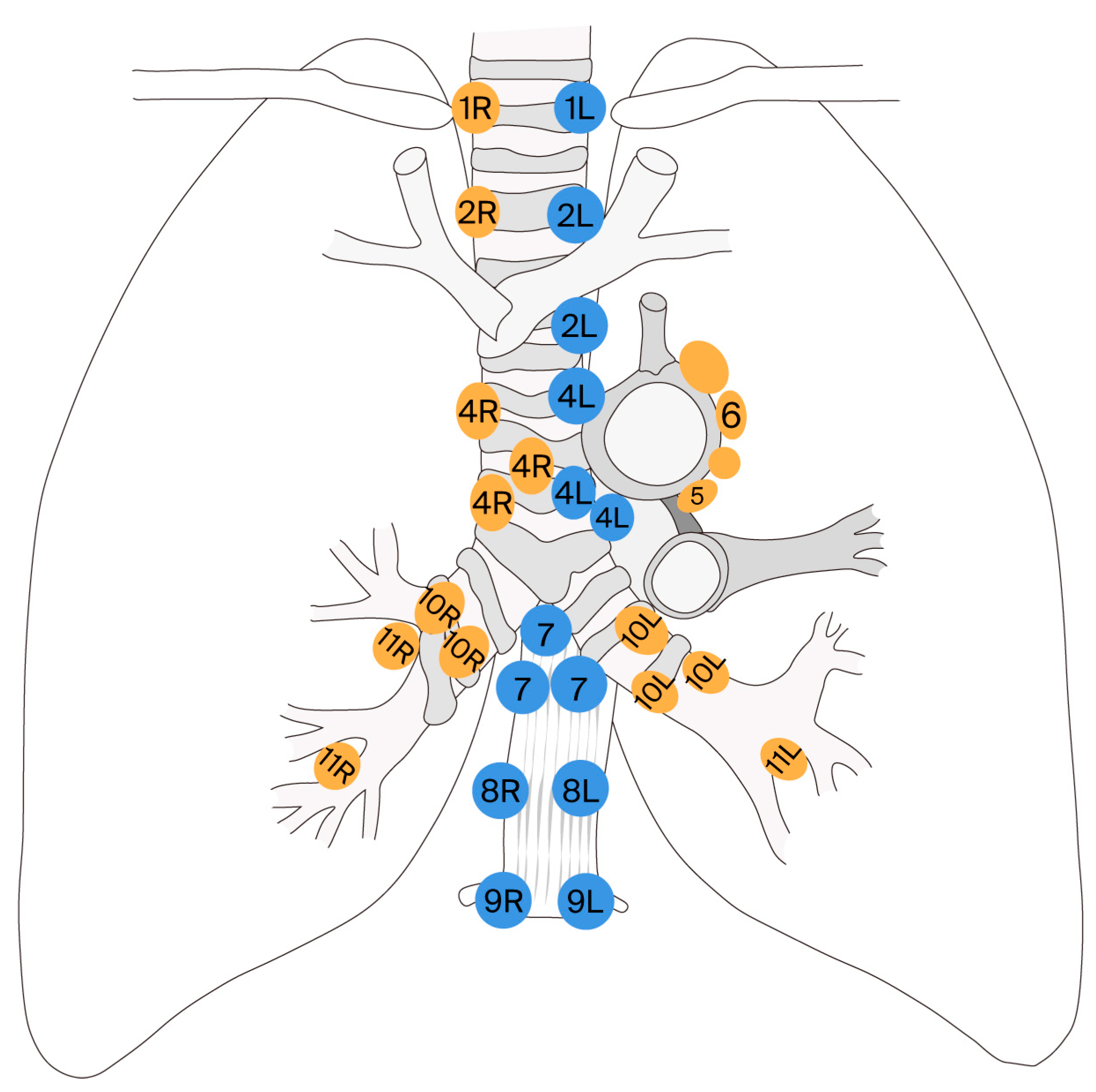 Jcm 14 05773 g002 Jcm 14 05773 g002