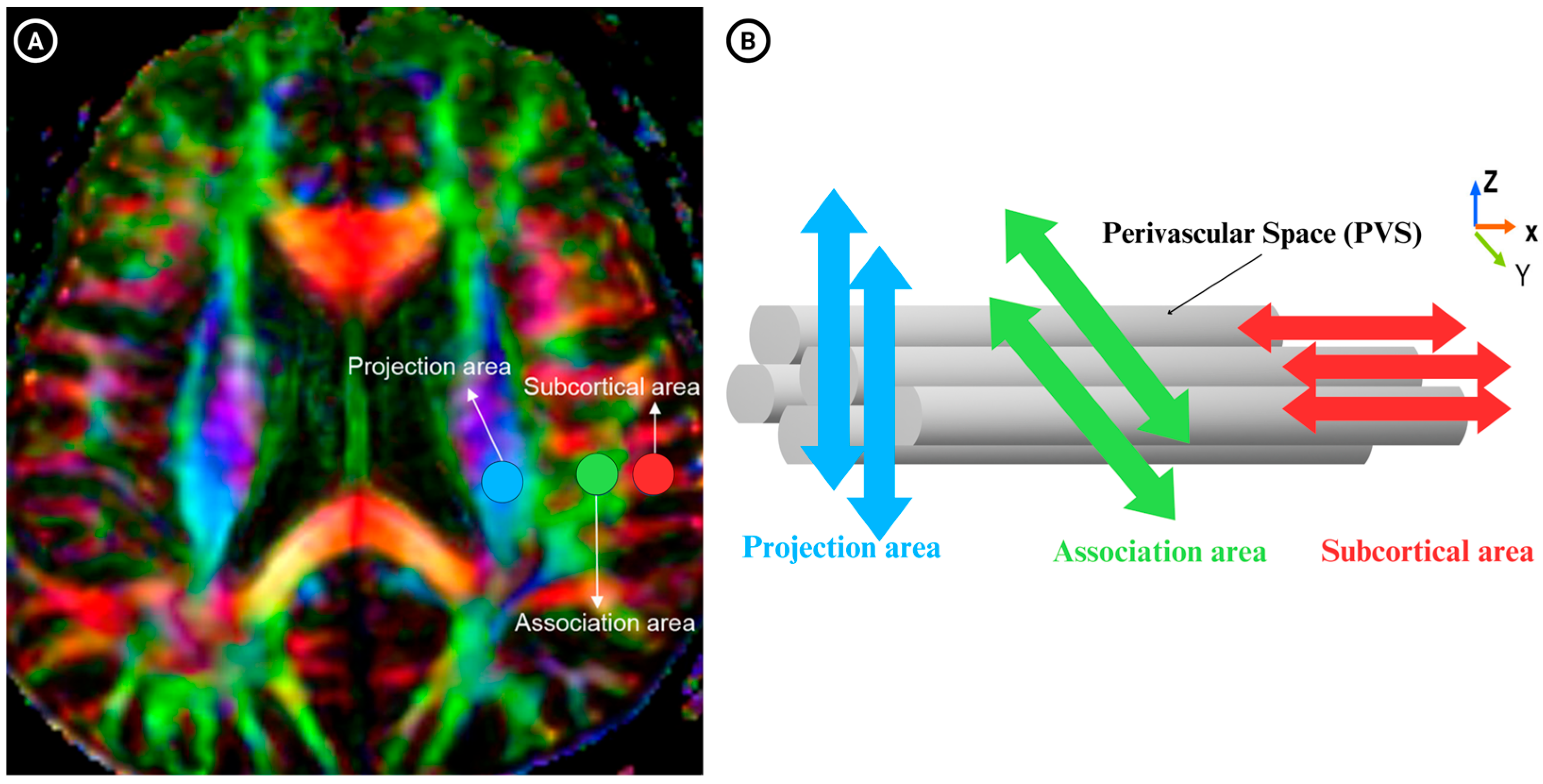 Jcm 14 06039 g003 Jcm 14 06039 g003