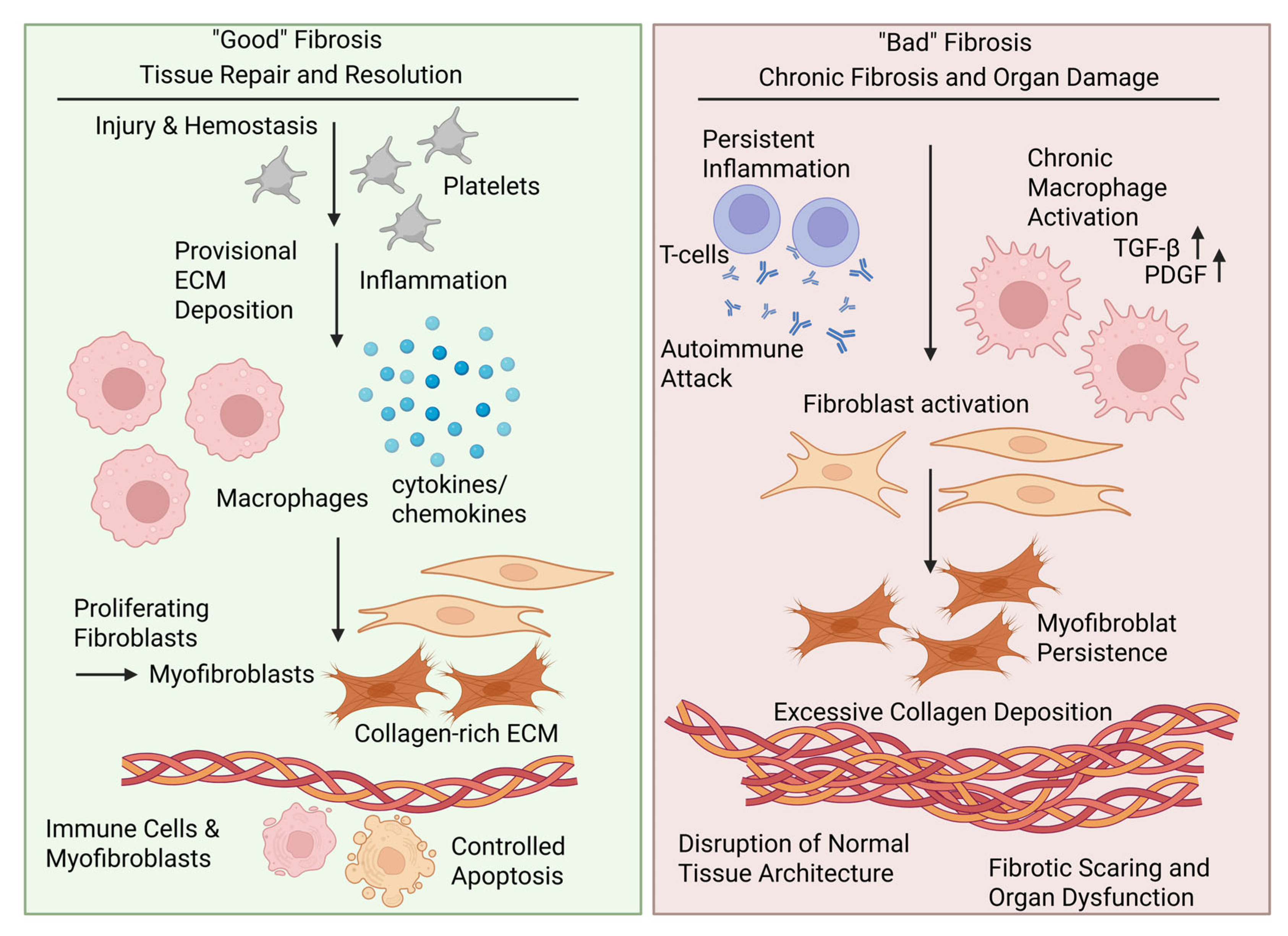 Jcm 14 06636 g001 Jcm 14 06636 g001