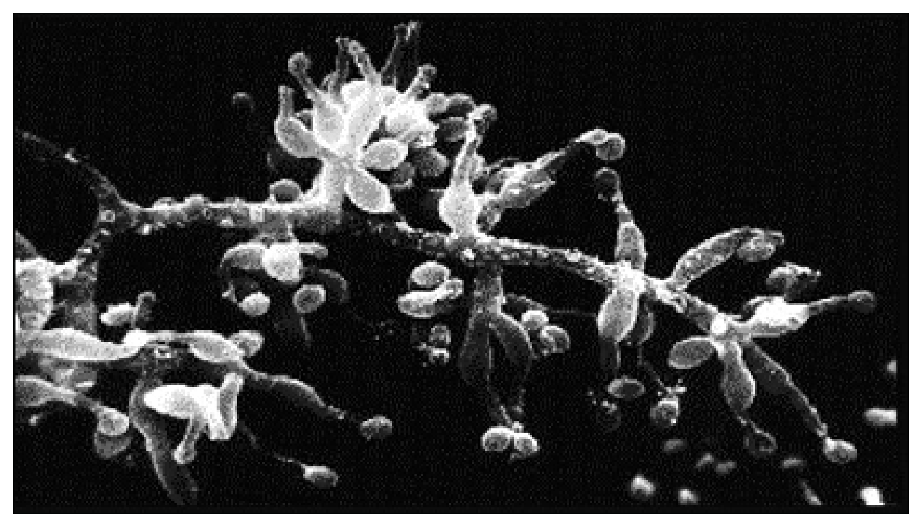 Jcm 14 06805 g001 Jcm 14 06805 g001