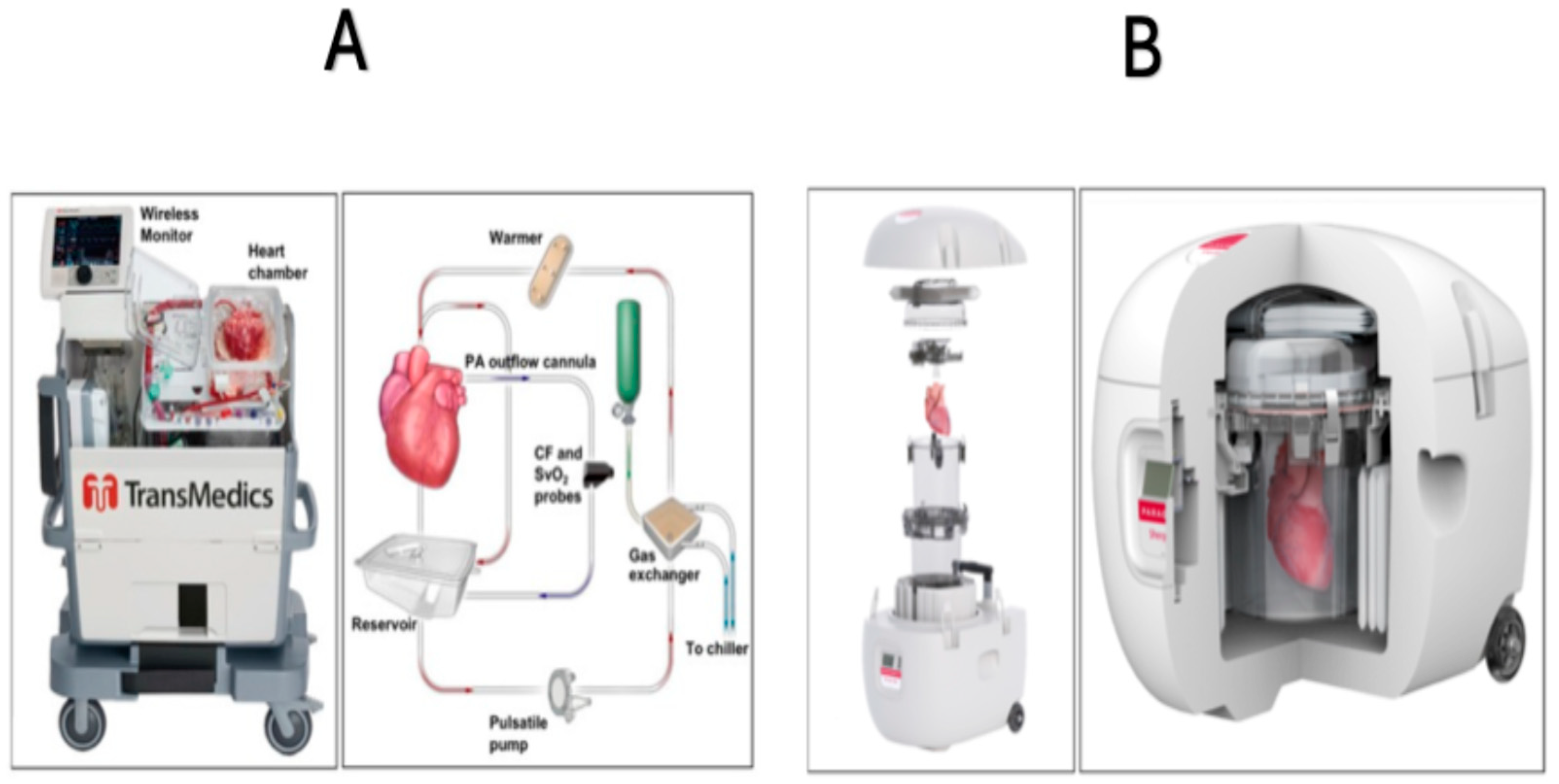 Jcm 14 06805 g002 Jcm 14 06805 g002