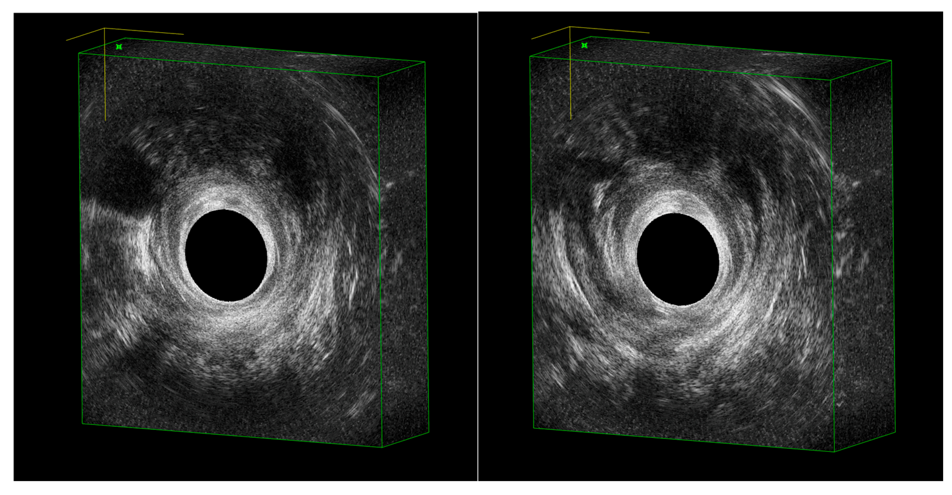Jcm 14 06867 g001 Jcm 14 06867 g001