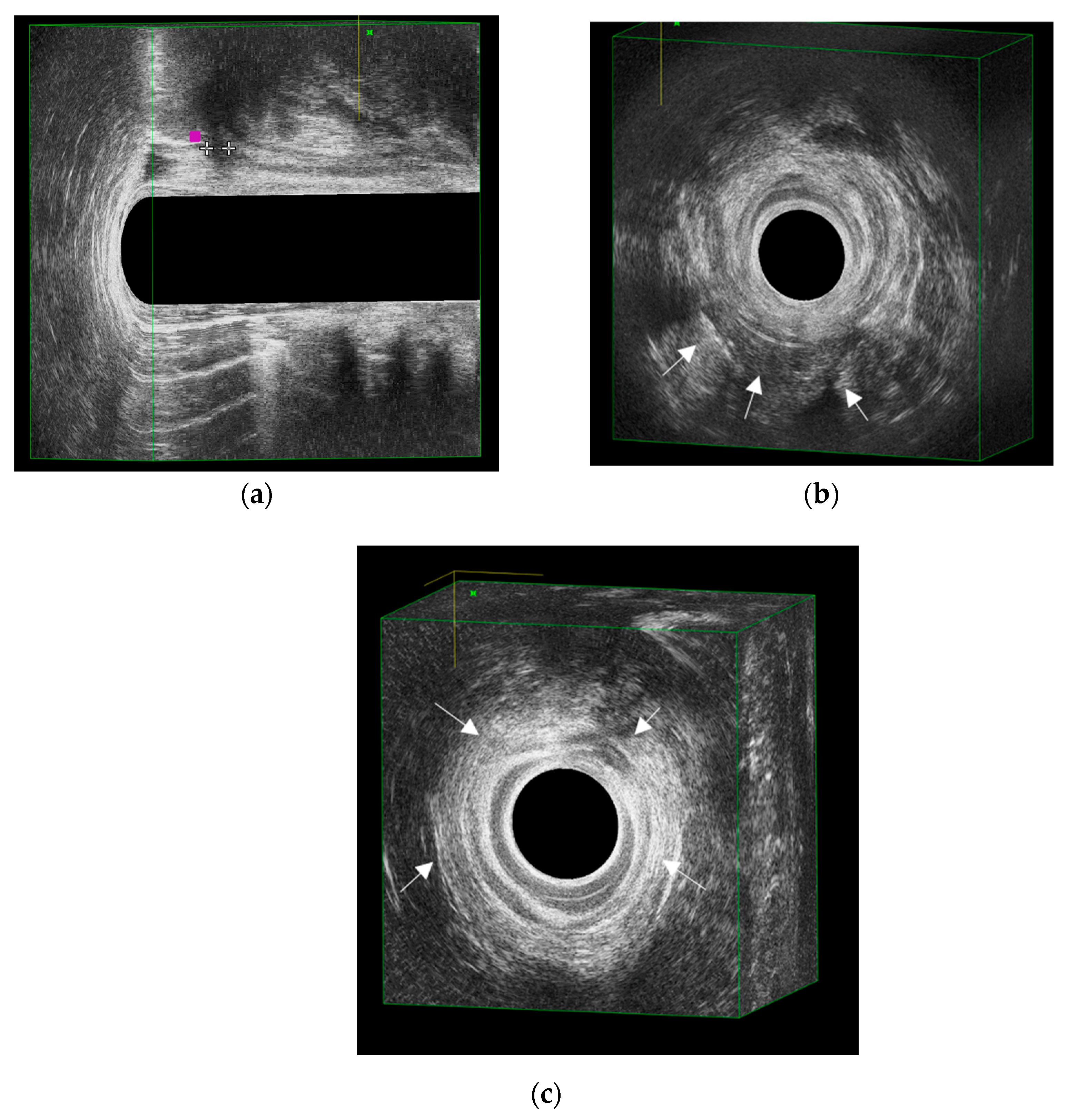 Jcm 14 06867 g002 Jcm 14 06867 g002