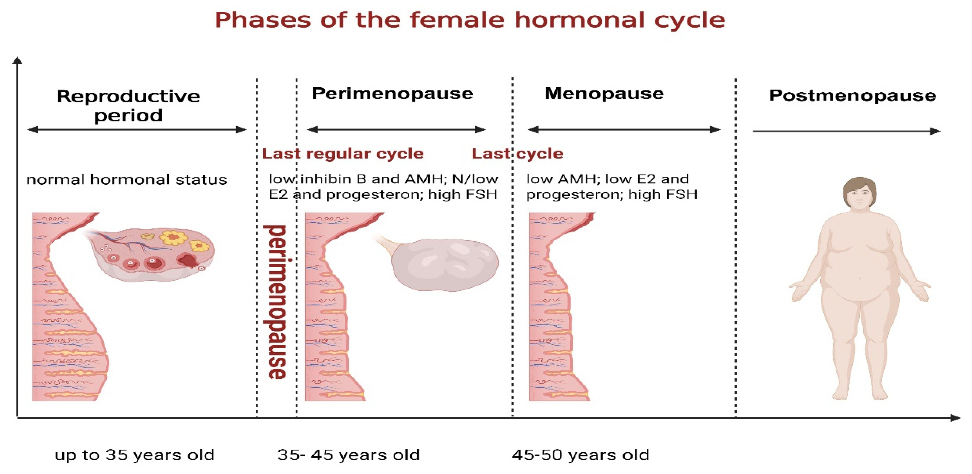 Jcm 14 07156 g001 Jcm 14 07156 g001