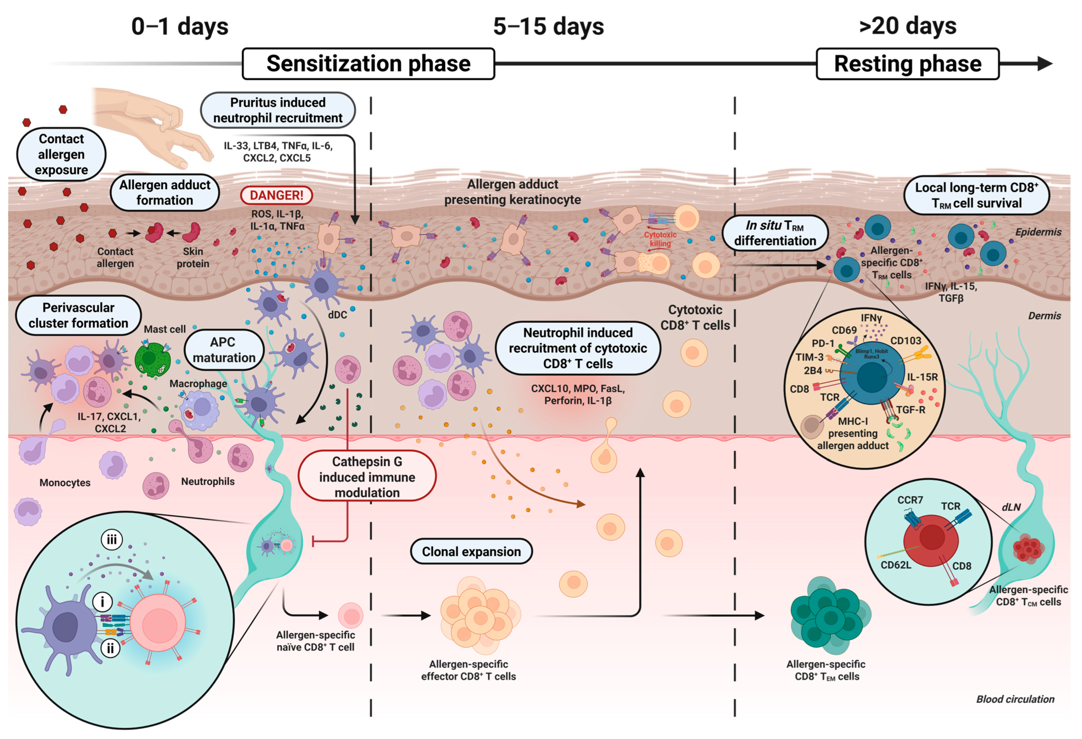 Jcm 14 07175 g001 Jcm 14 07175 g001