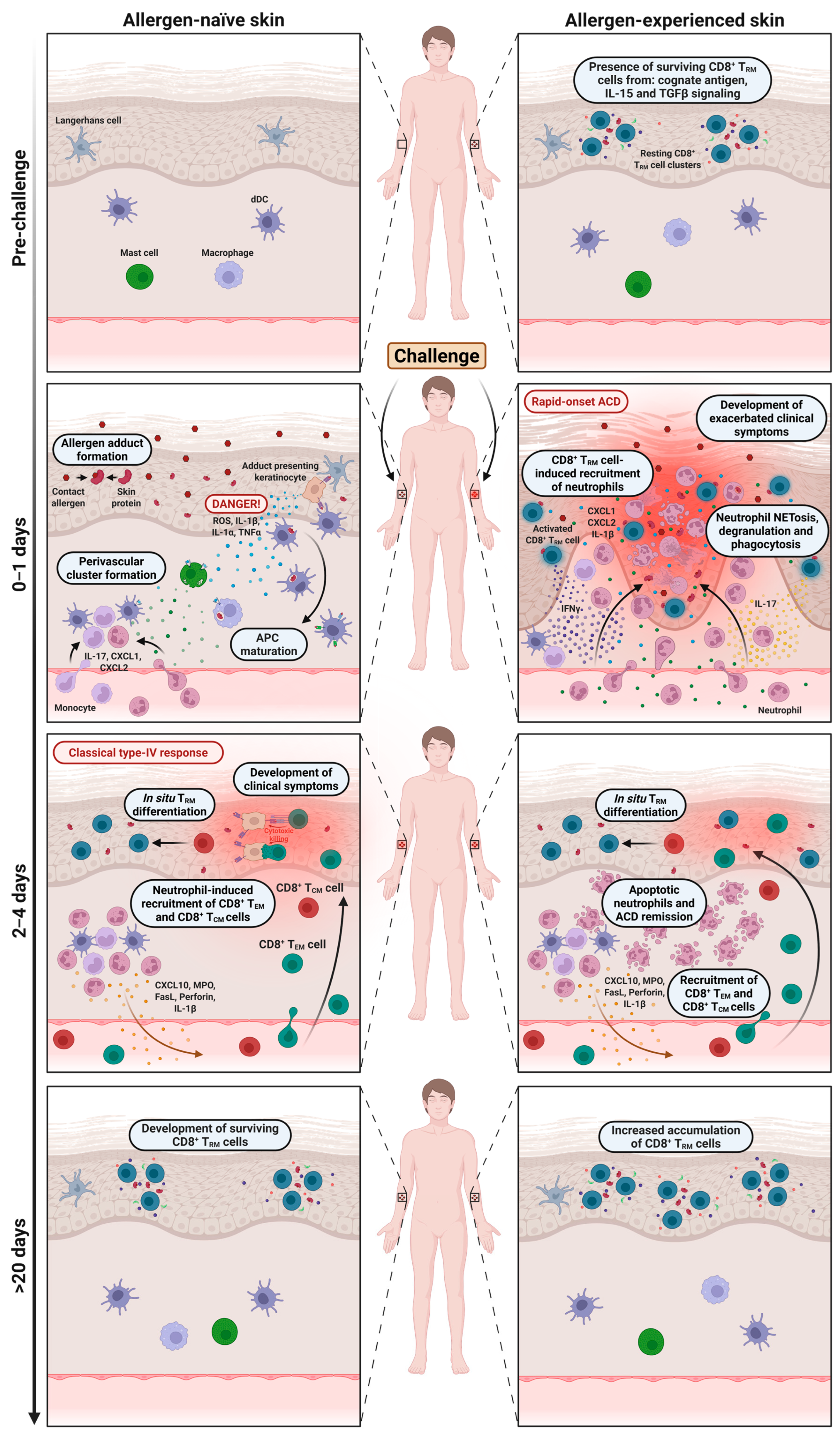 Jcm 14 07175 g002 Jcm 14 07175 g002
