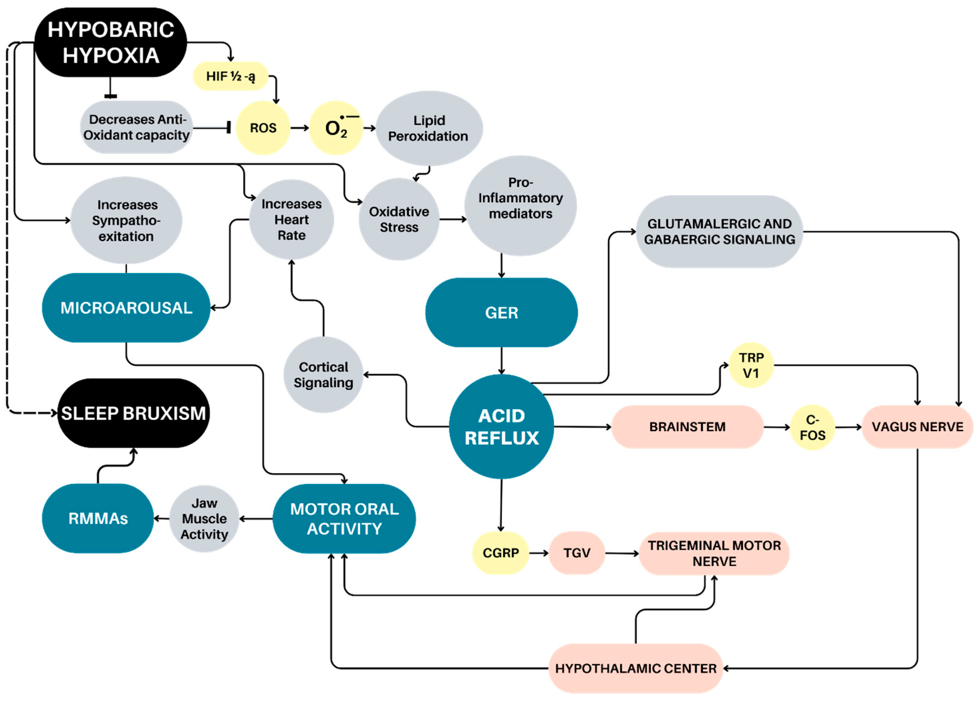 Jcm 14 07176 g001 Jcm 14 07176 g001