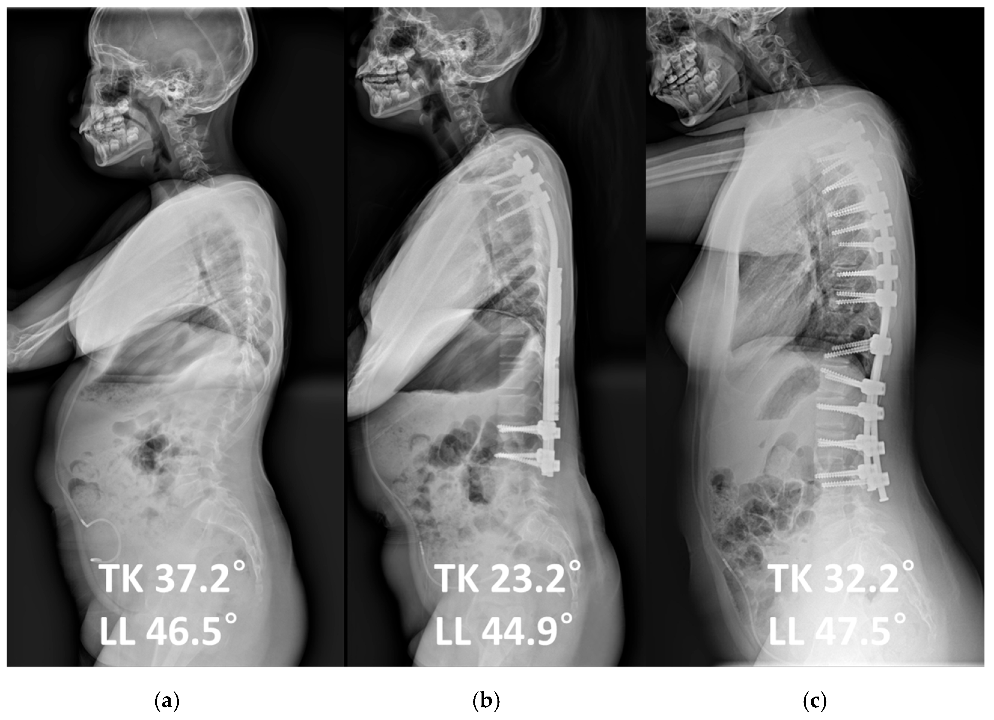 Jcm 14 07184 g002 Jcm 14 07184 g002
