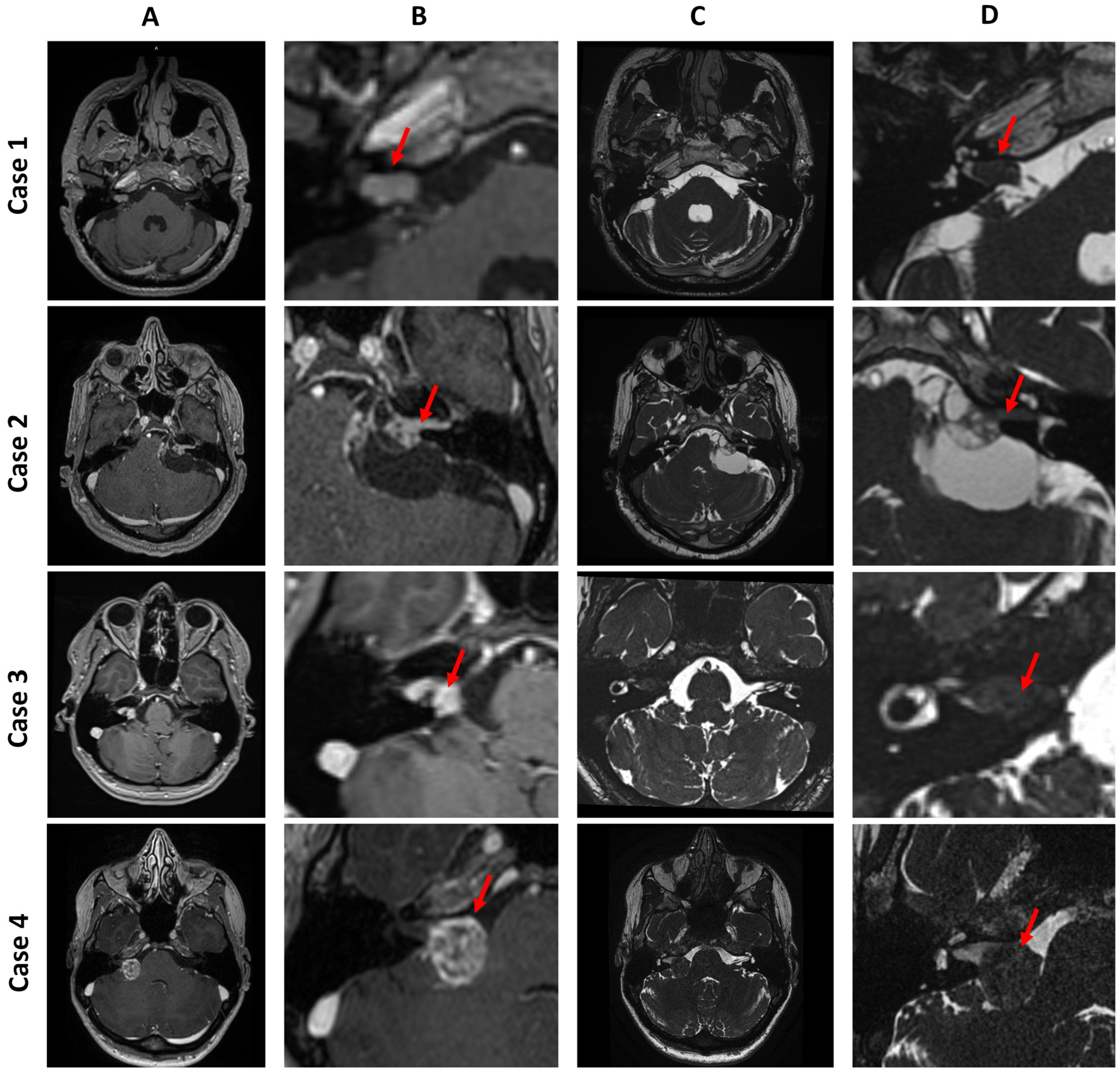 Jcm 14 07222 g005 Jcm 14 07222 g005