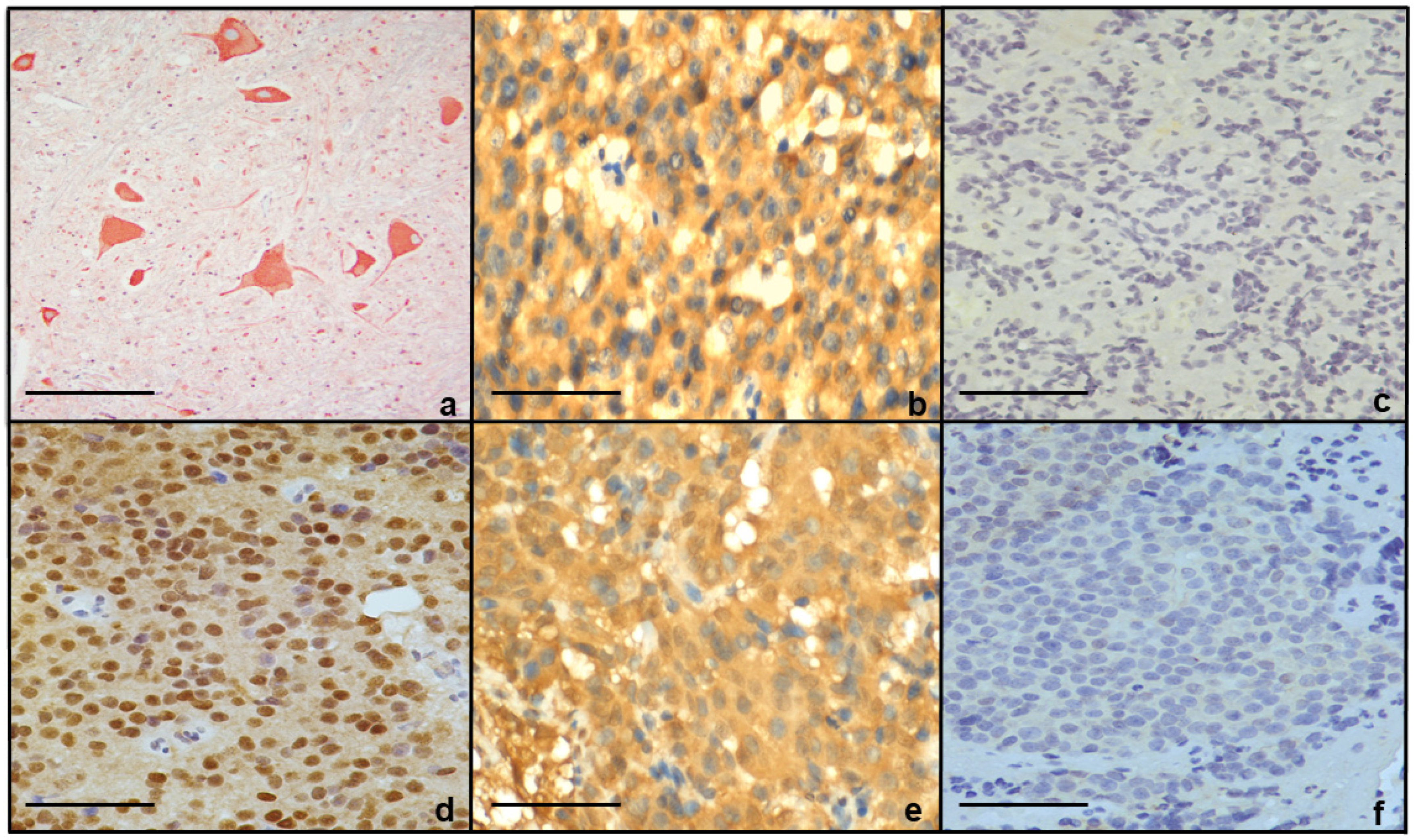 Jcm 14 07344 g001 Jcm 14 07344 g001