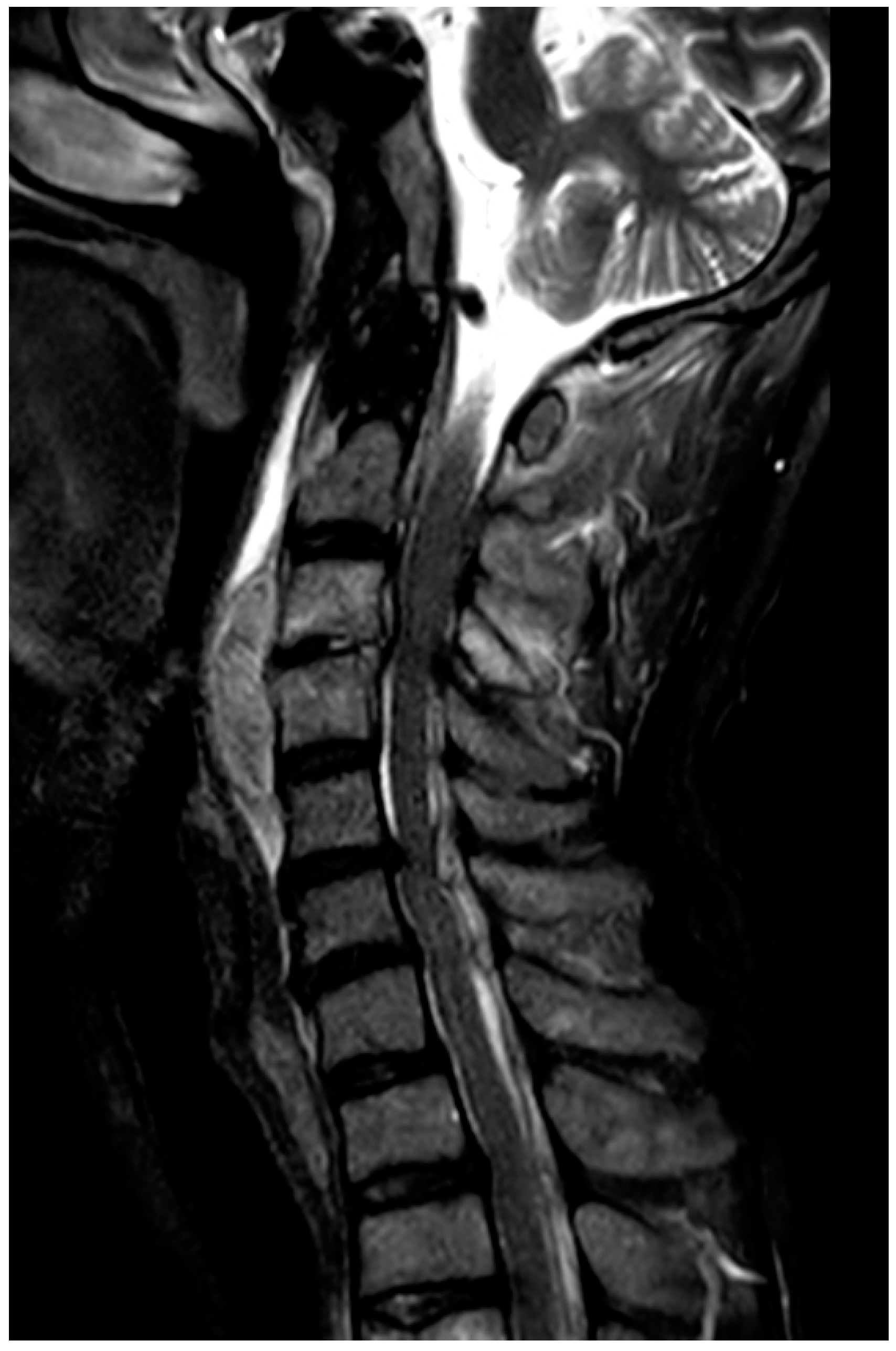 Jcm 14 07346 g001 Jcm 14 07346 g001