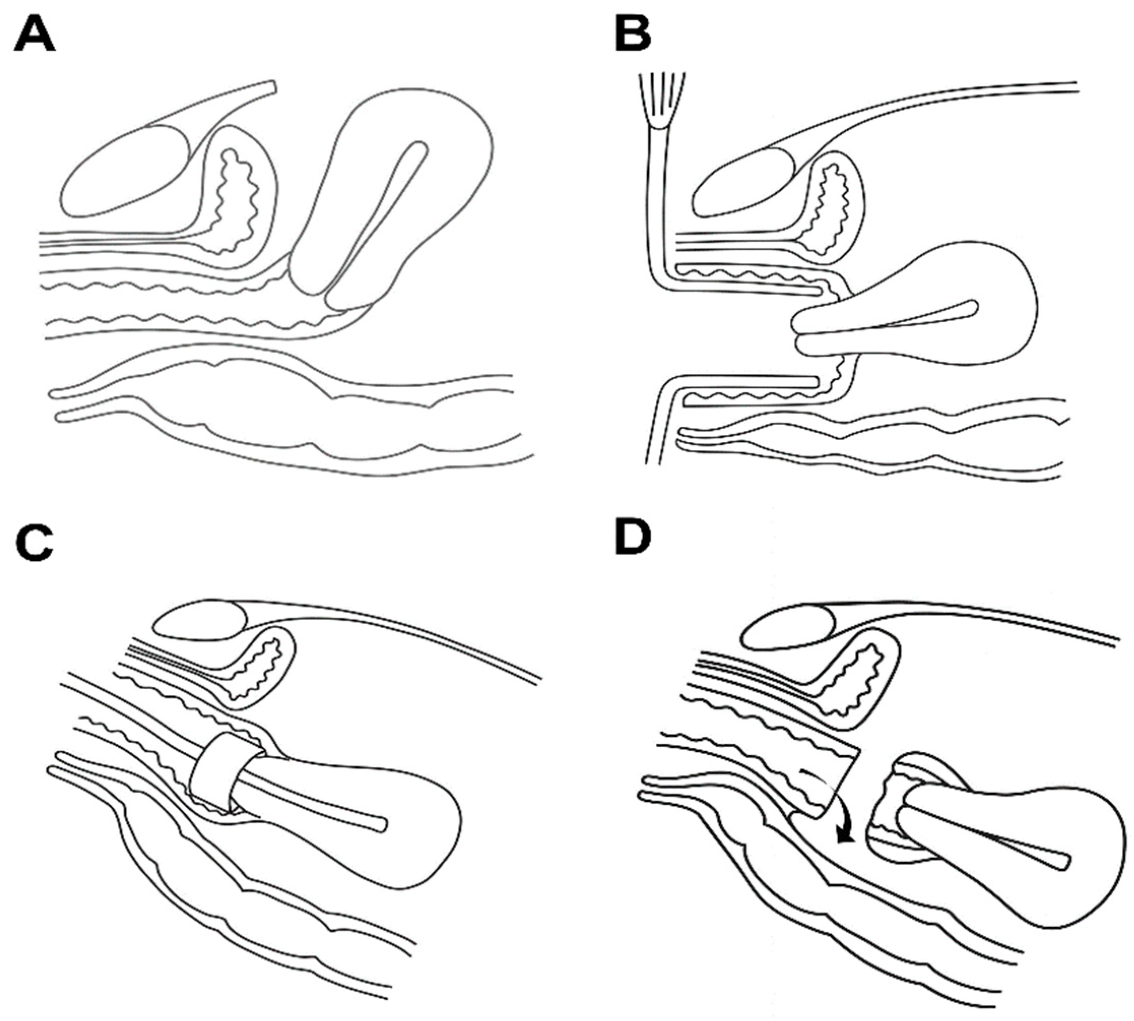 Jcm 14 07383 g001 Jcm 14 07383 g001