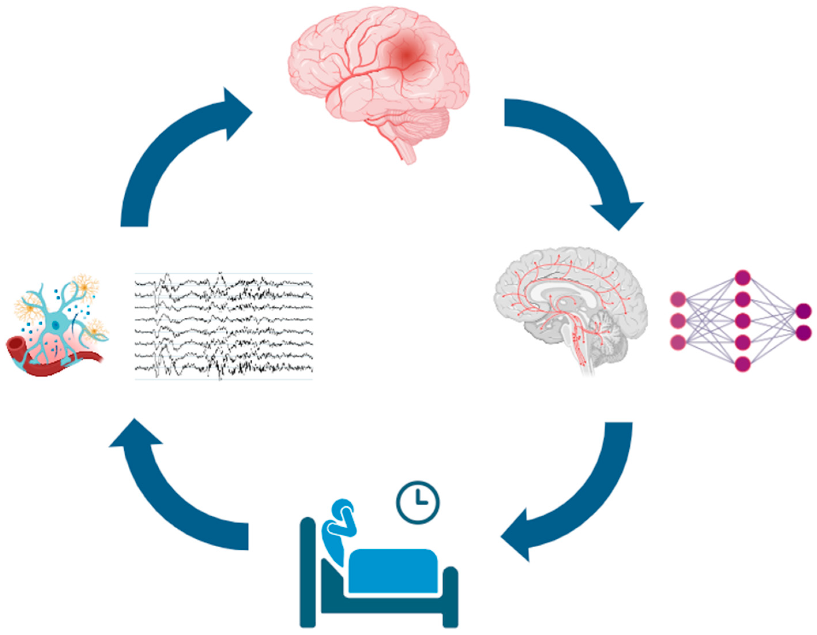 Jcm 14 07420 g001 Jcm 14 07420 g001