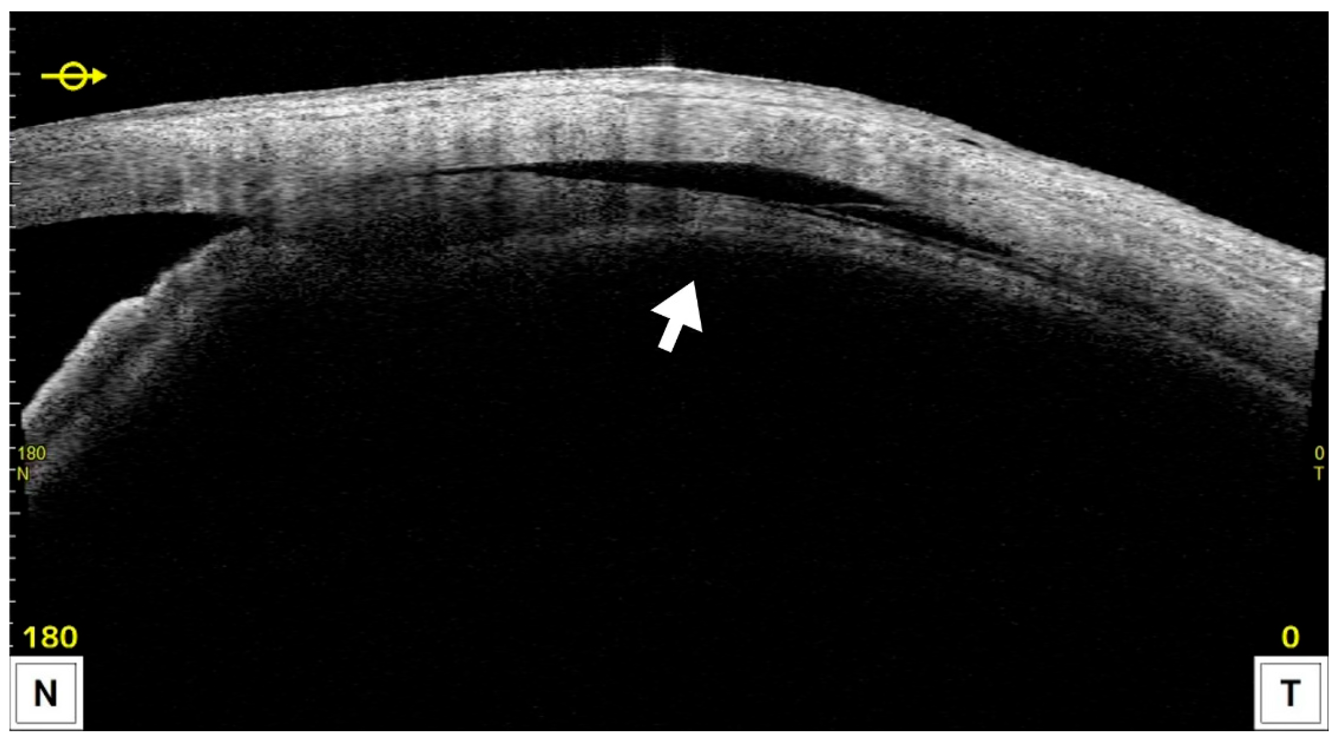 Jcm 14 07453 g004 Jcm 14 07453 g004