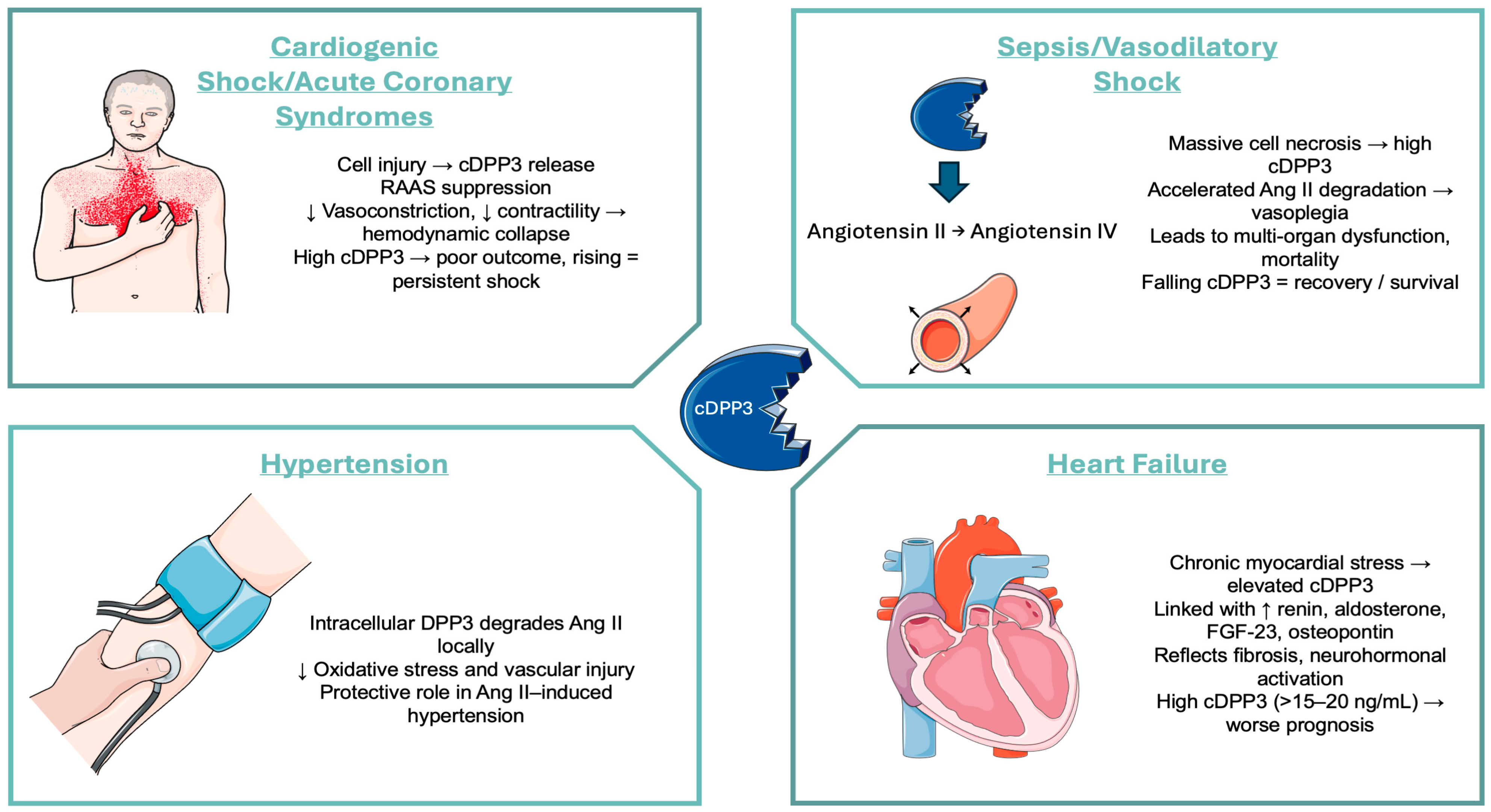 Jcm 14 07459 g001 Jcm 14 07459 g001