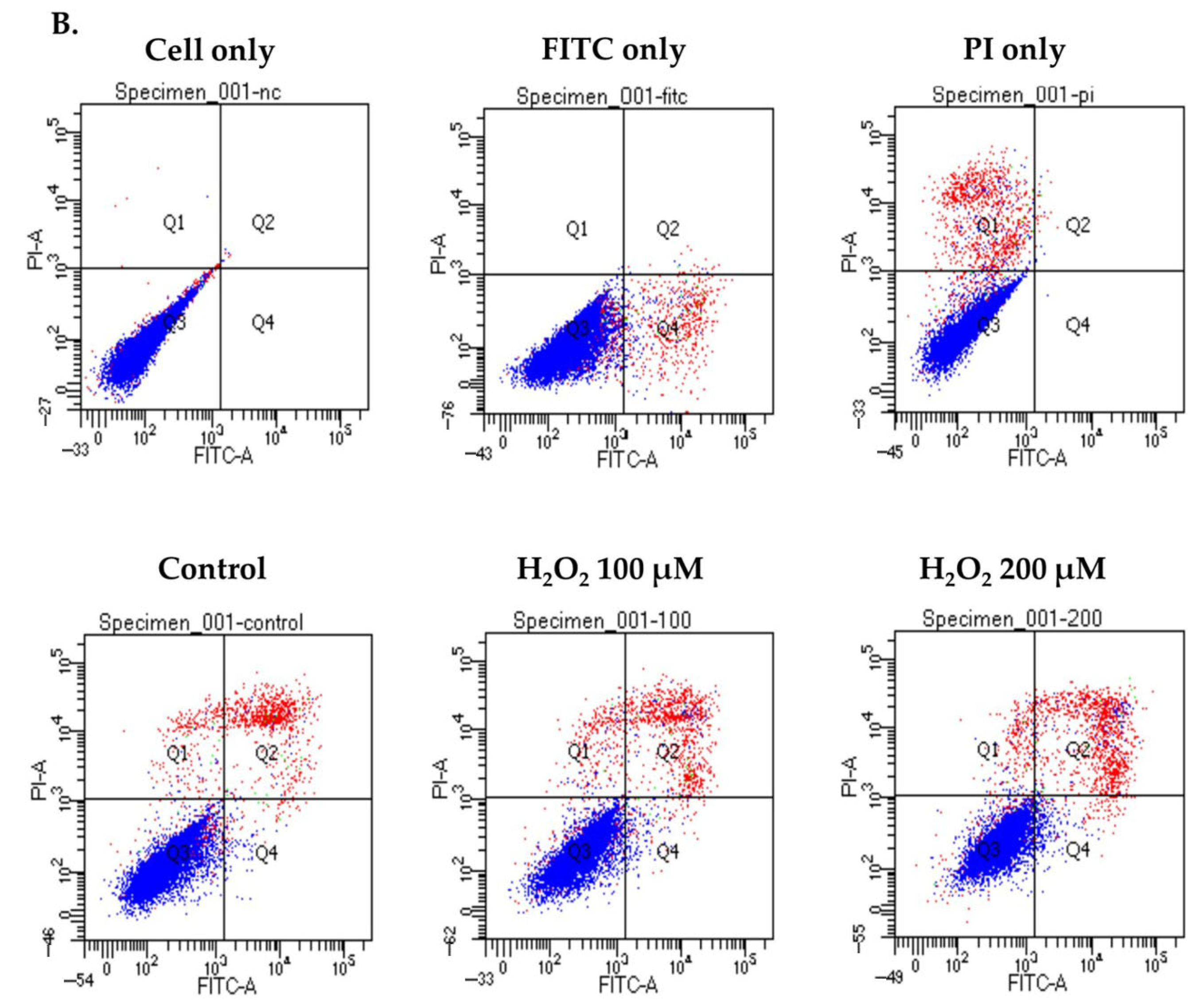 Jcm 14 07532 g002b Jcm 14 07532 g002b