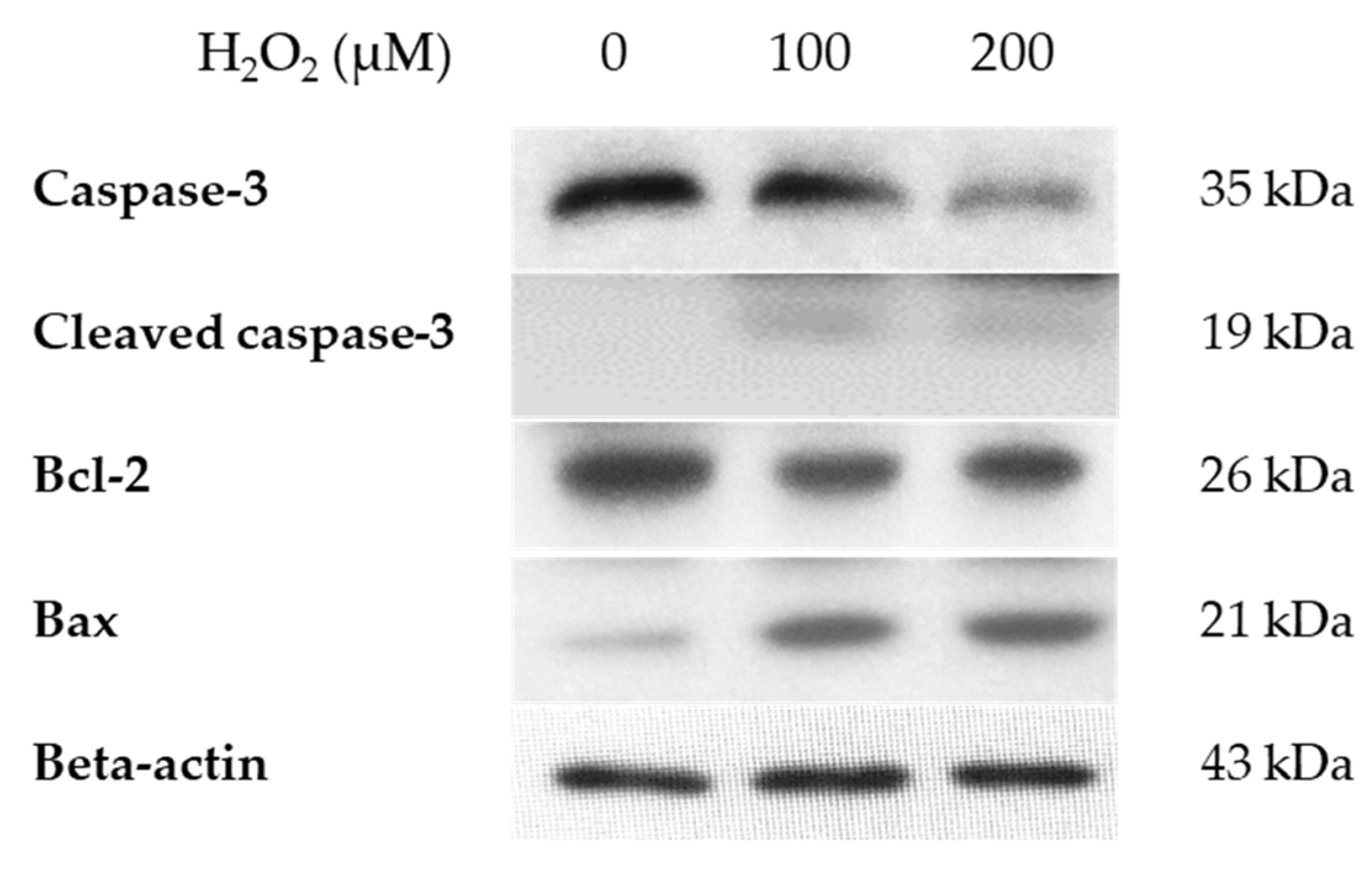 Jcm 14 07532 g003 Jcm 14 07532 g003