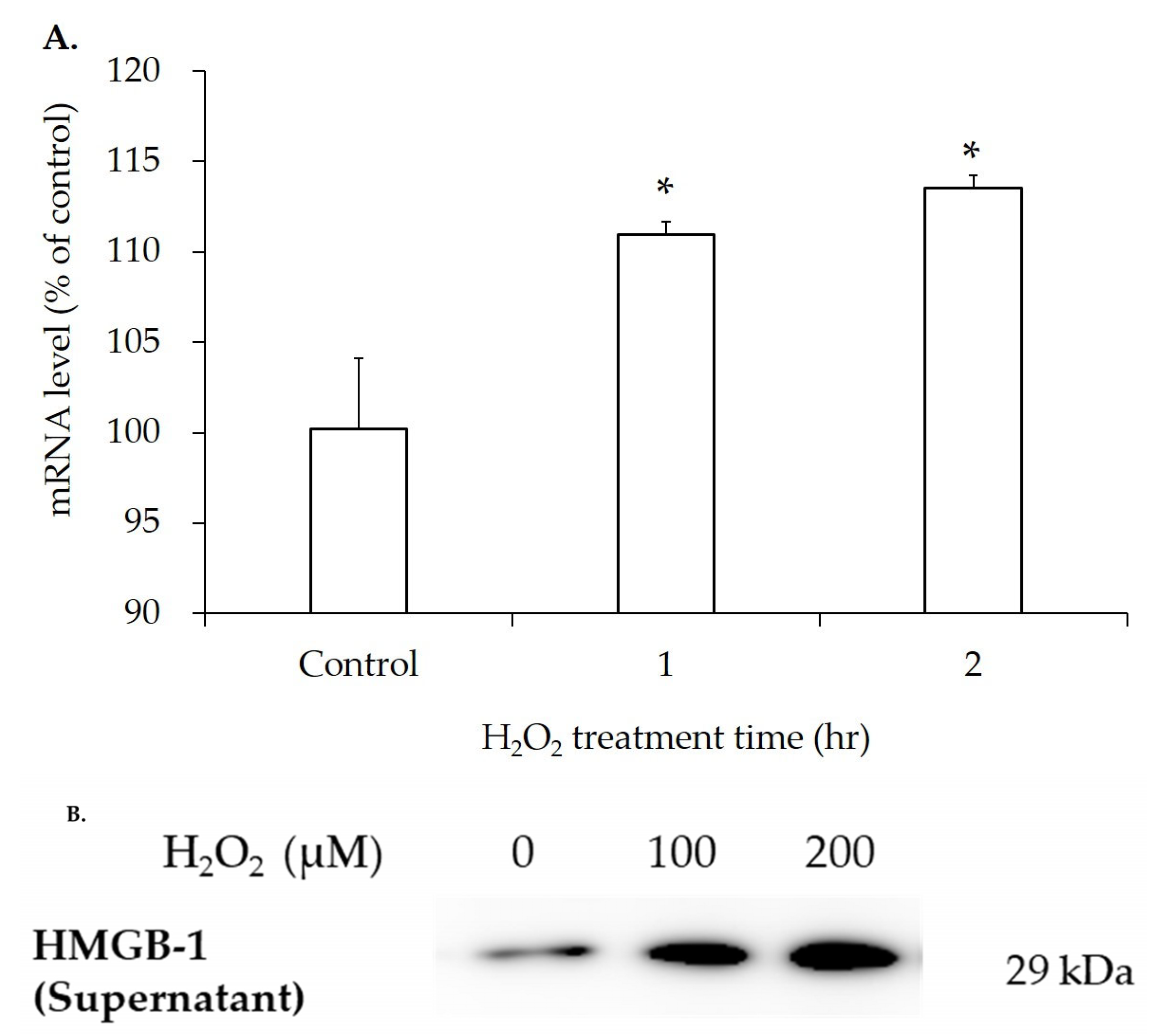 Jcm 14 07532 g005 Jcm 14 07532 g005