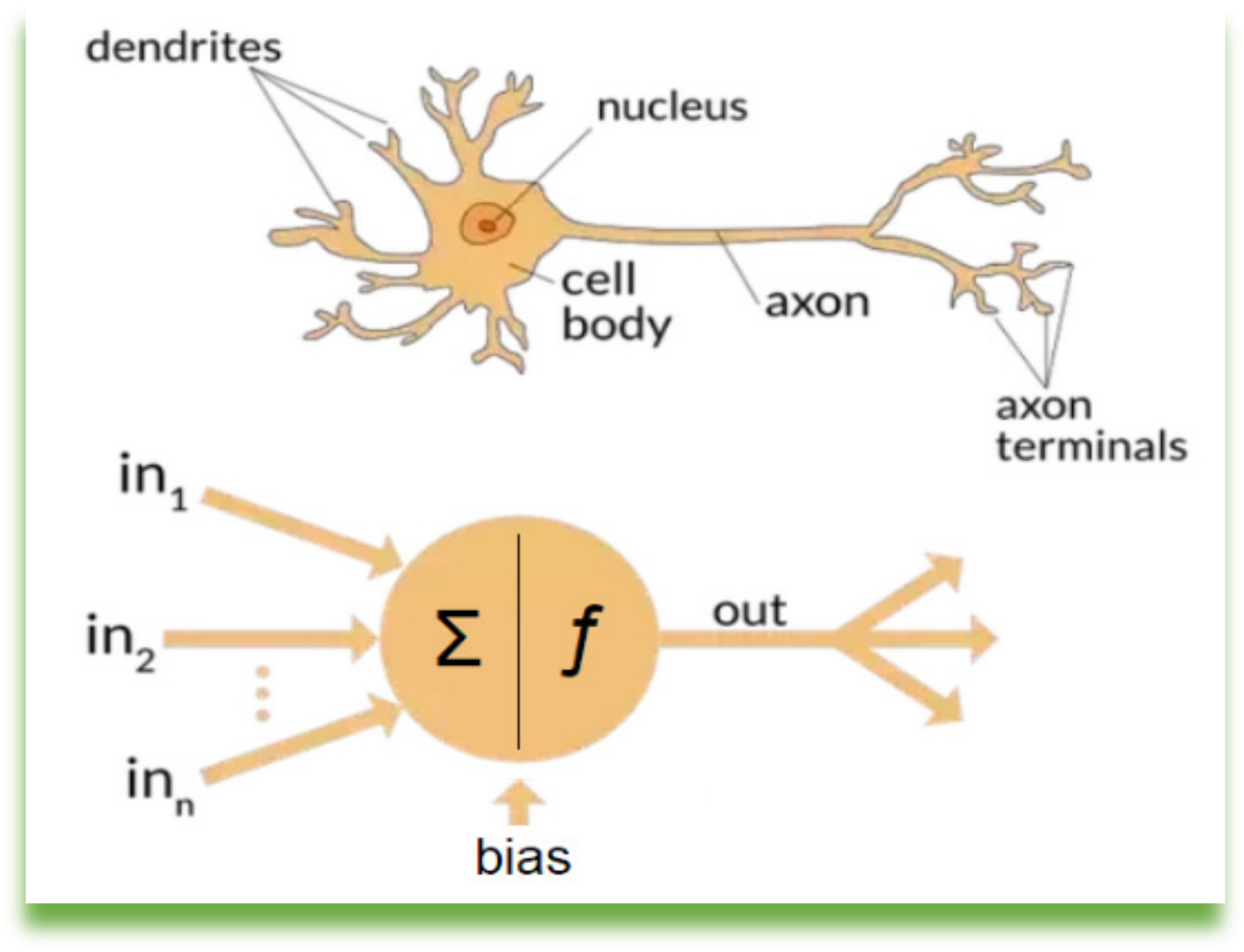 Jcp 02 00041 g0a2 Jcp 02 00041 g0a2