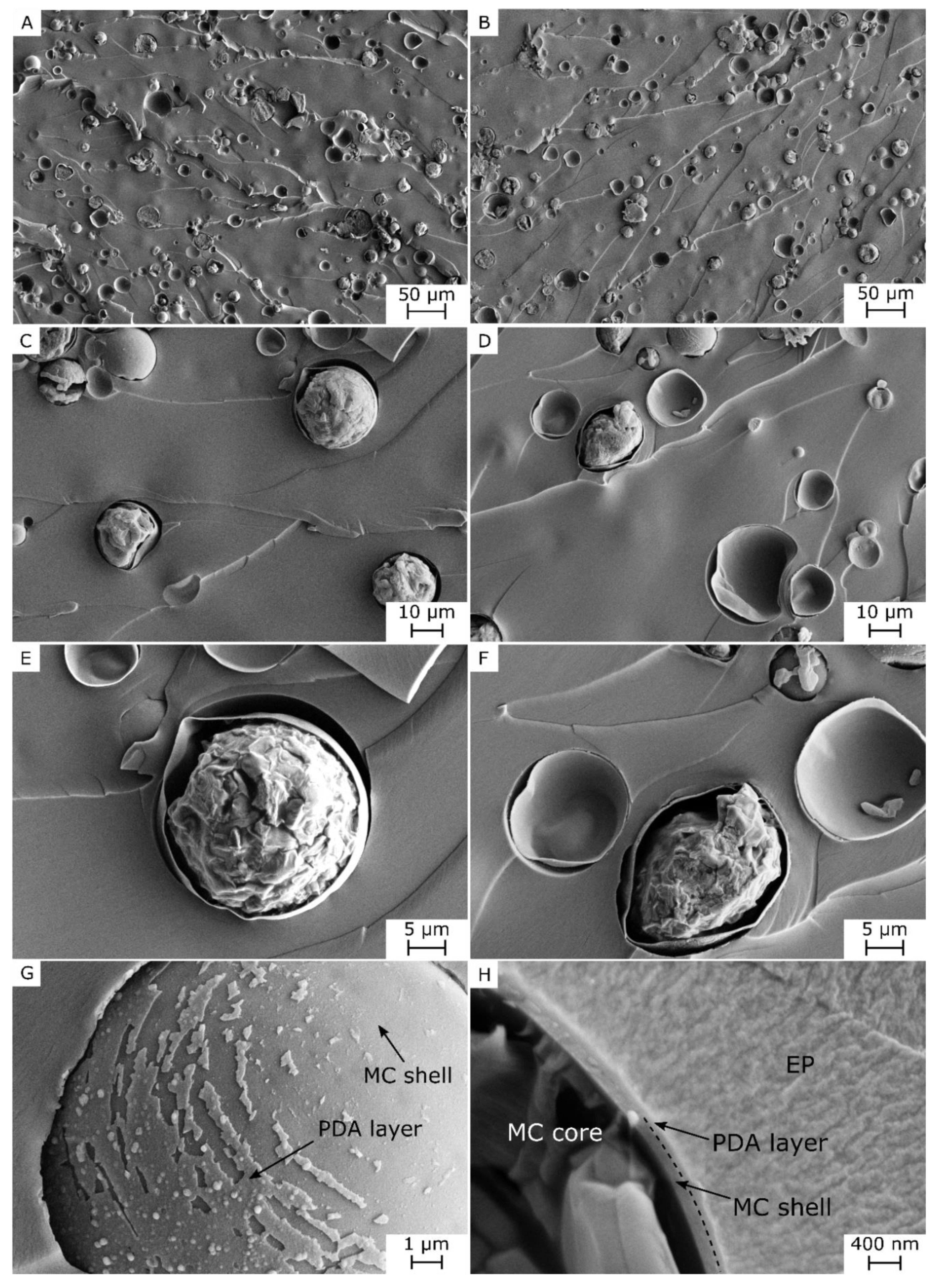 Jcs 04 00174 g002 Jcs 04 00174 g002