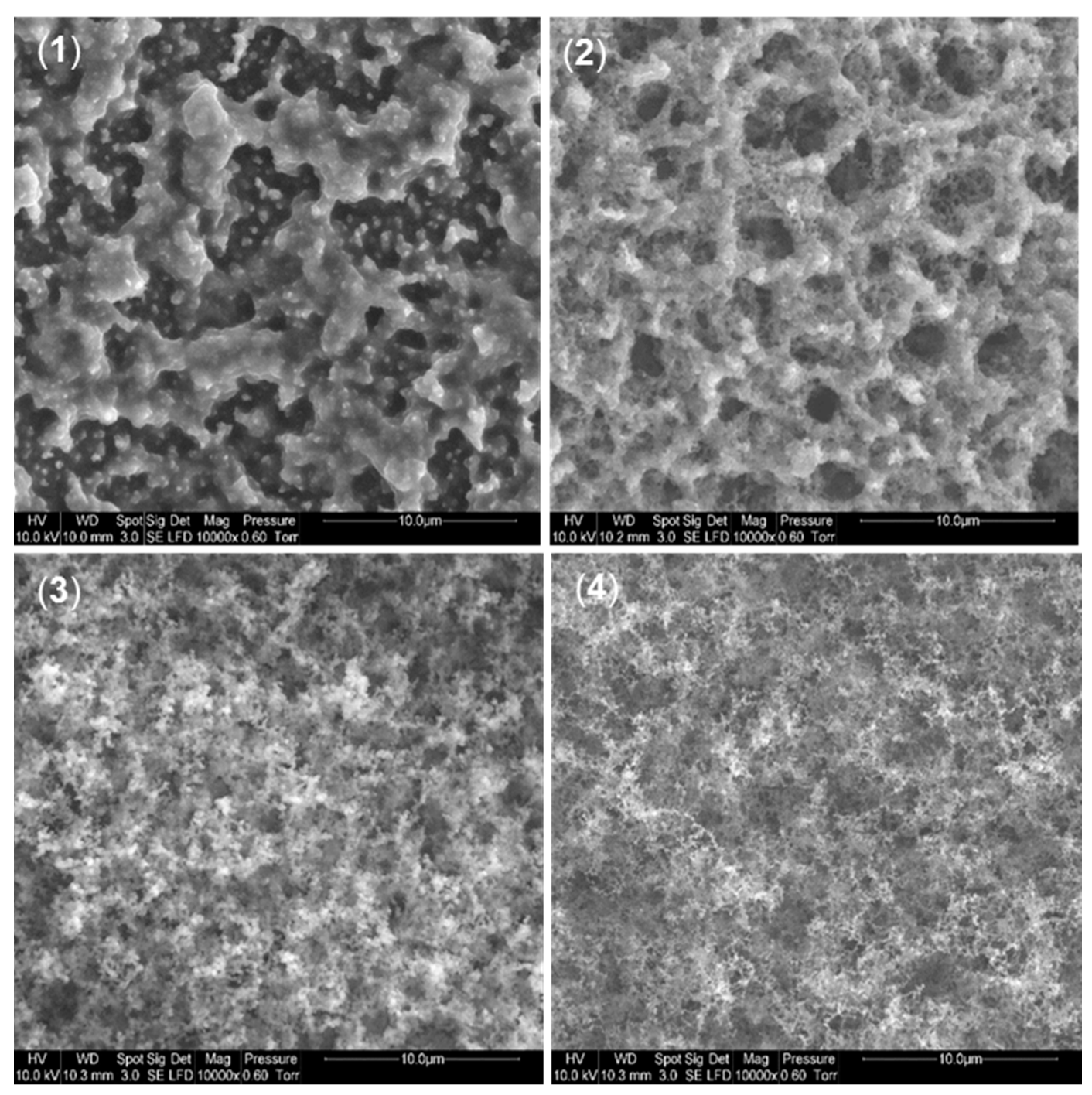 Jcs 05 00006 g010 Jcs 05 00006 g010