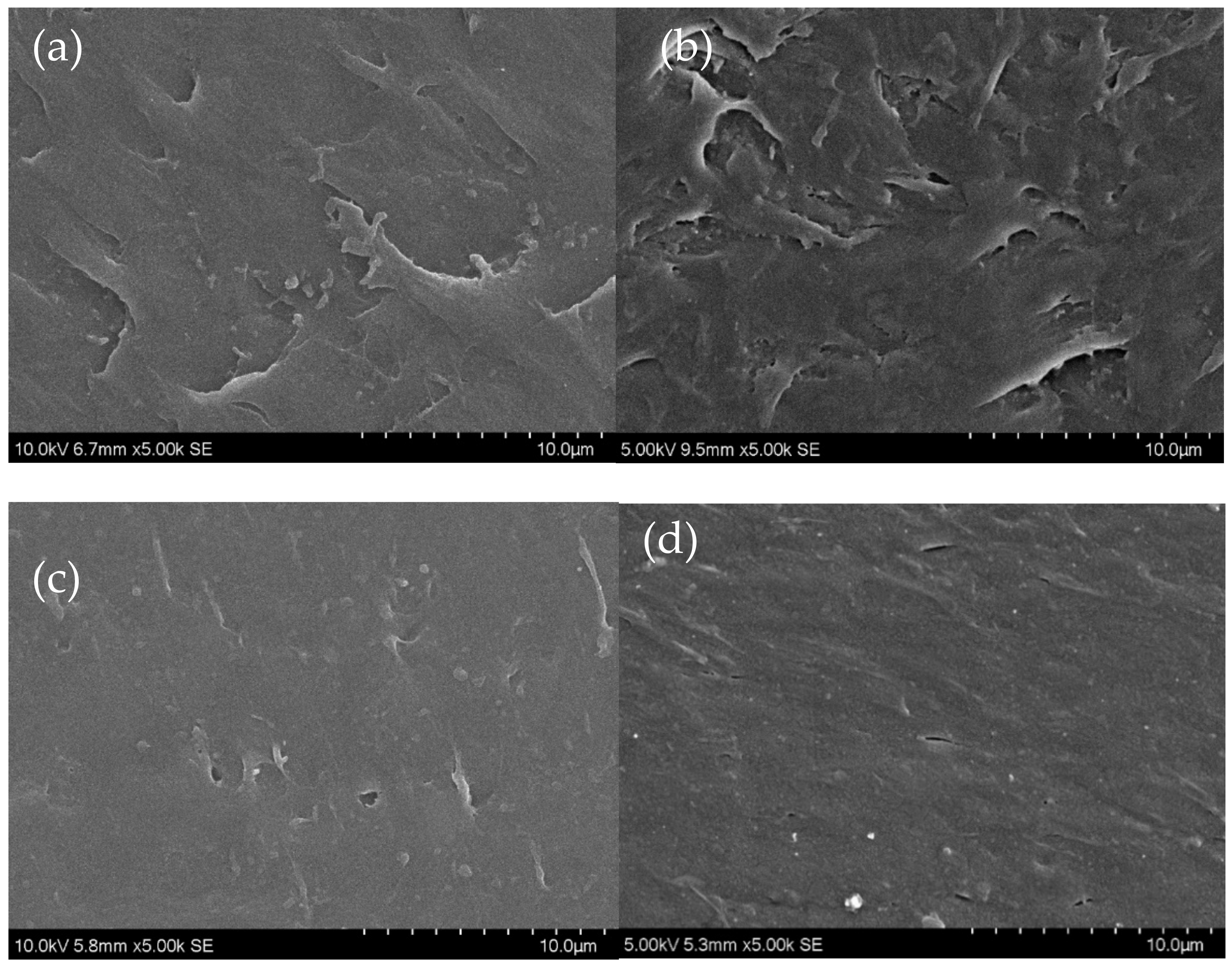 Jcs 05 00052 g006 Jcs 05 00052 g006