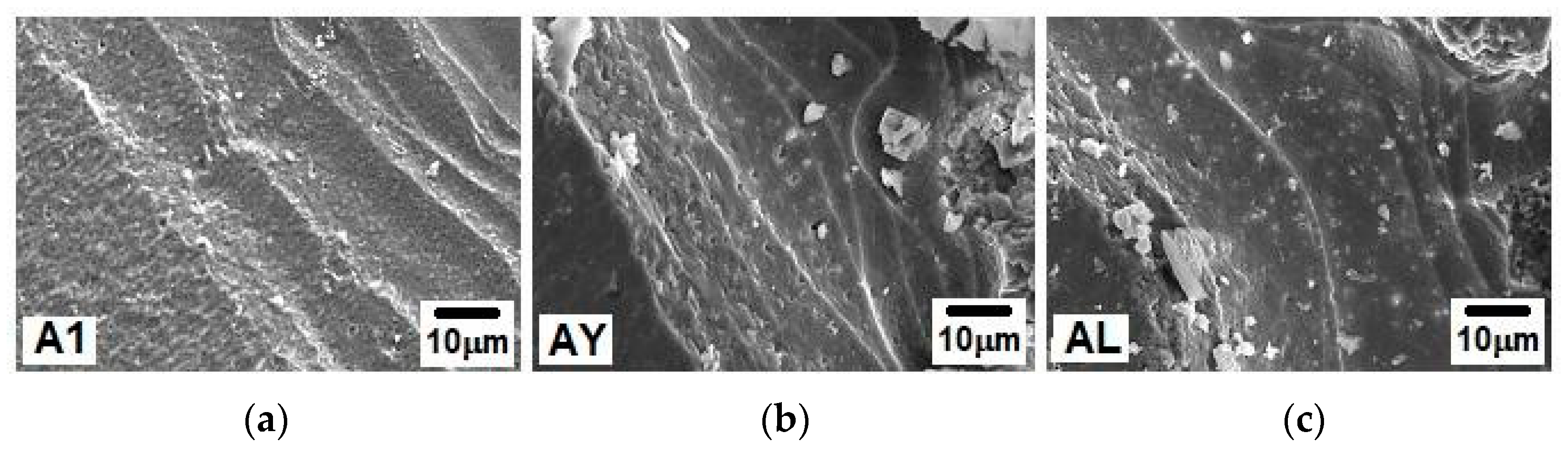 Jcs 05 00161 g004 Jcs 05 00161 g004