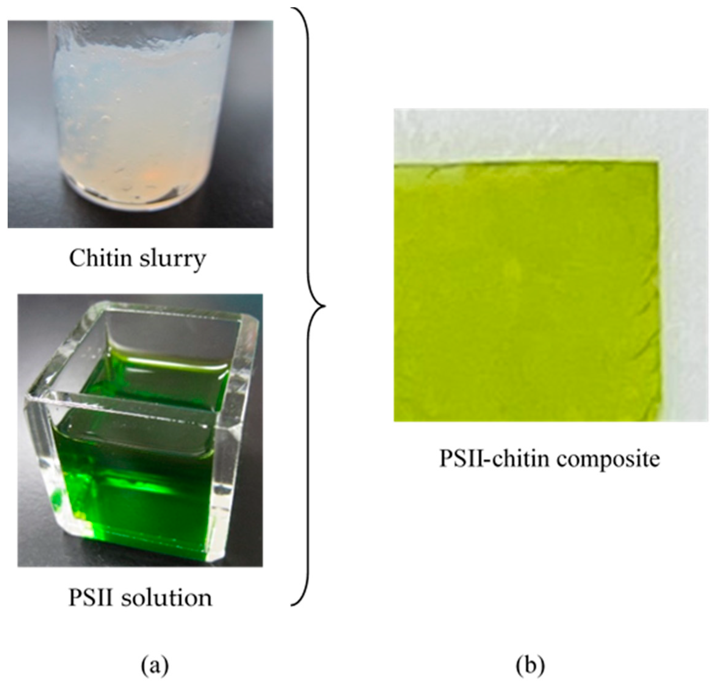 Jcs 05 00317 g002 Jcs 05 00317 g002