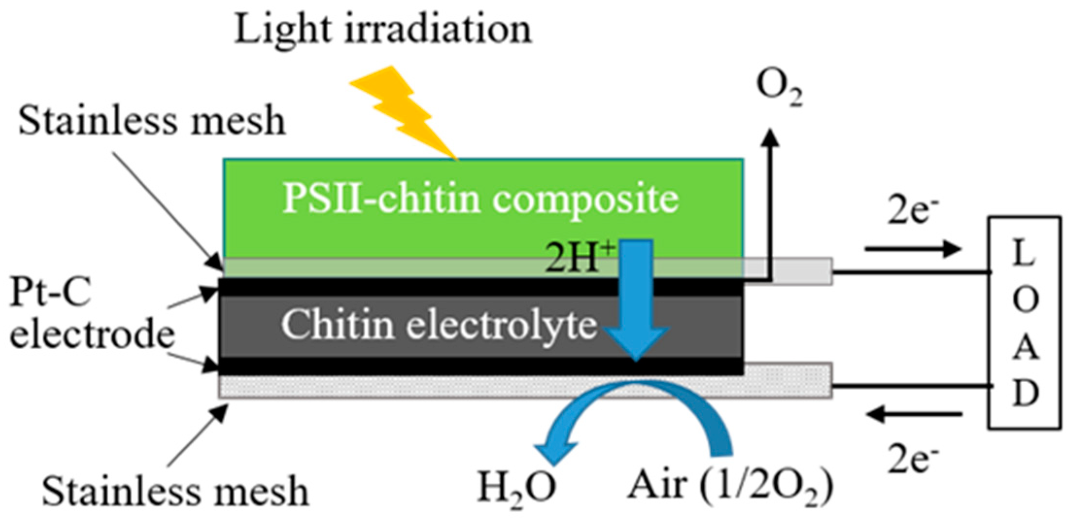 Jcs 05 00317 g003 Jcs 05 00317 g003