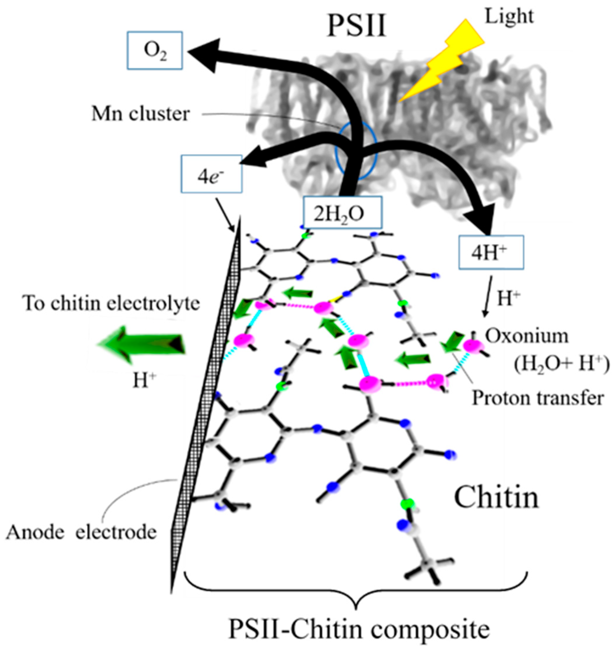 Jcs 05 00317 g011 Jcs 05 00317 g011