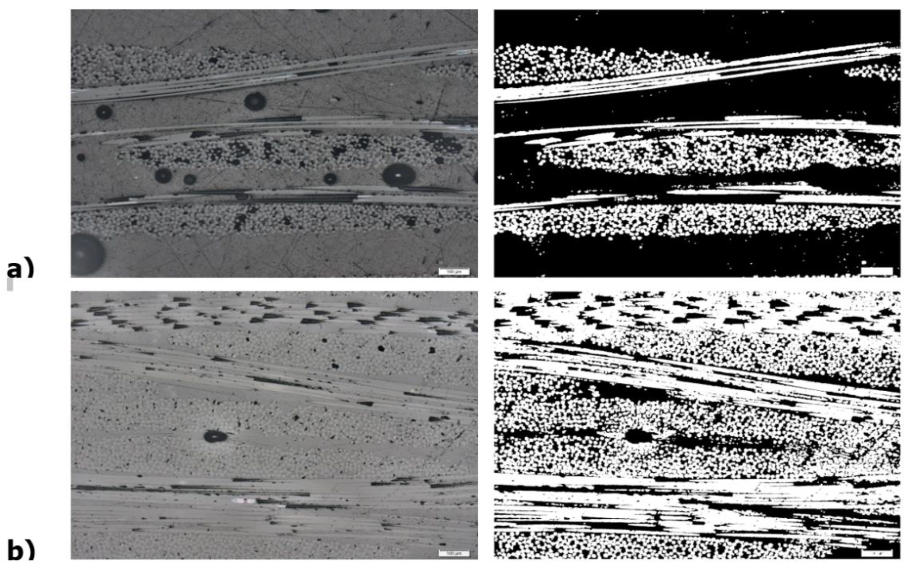 Micrographs of the cross-section morphology of compression moulded