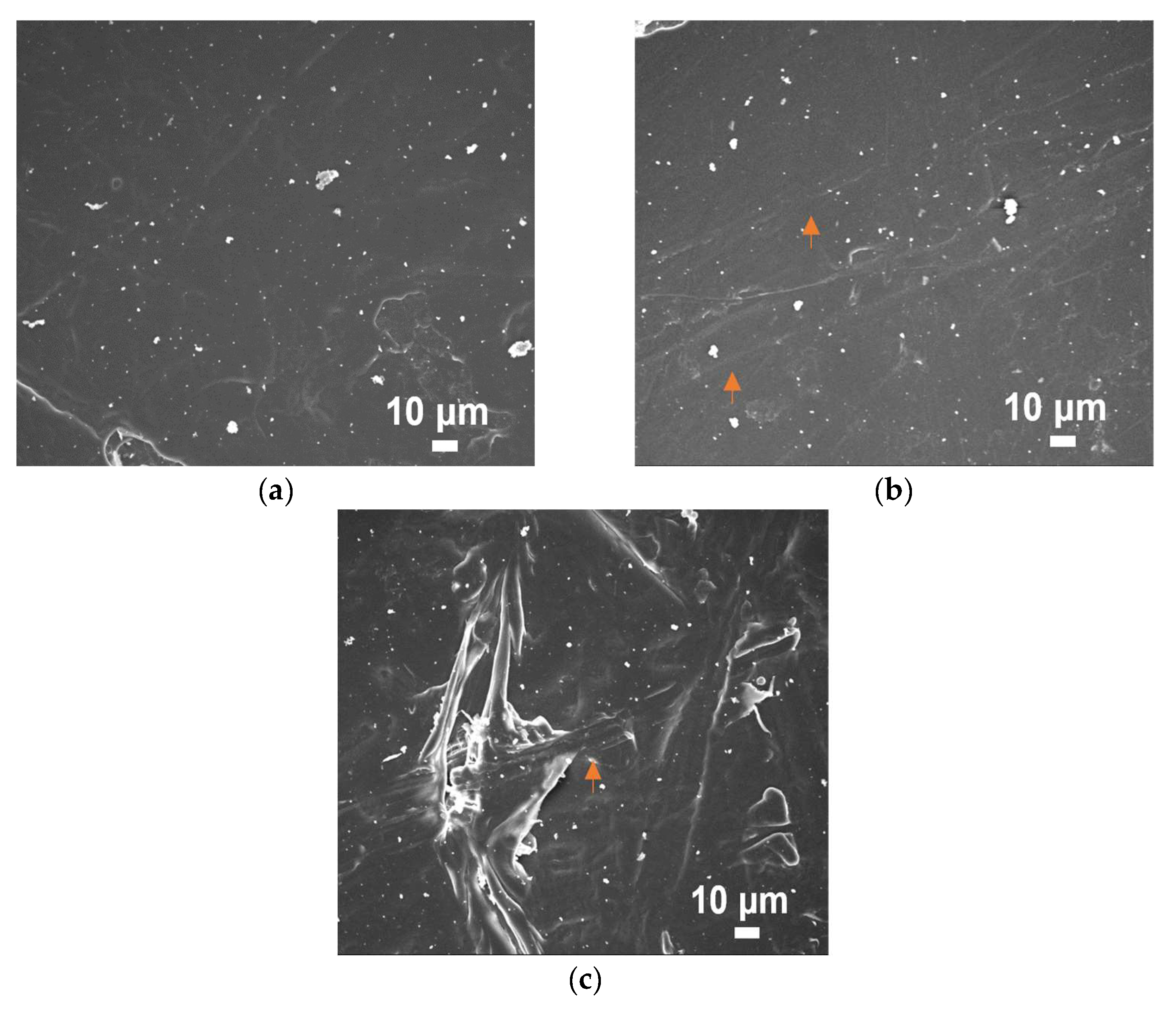 Jcs 07 00138 g009 Jcs 07 00138 g009