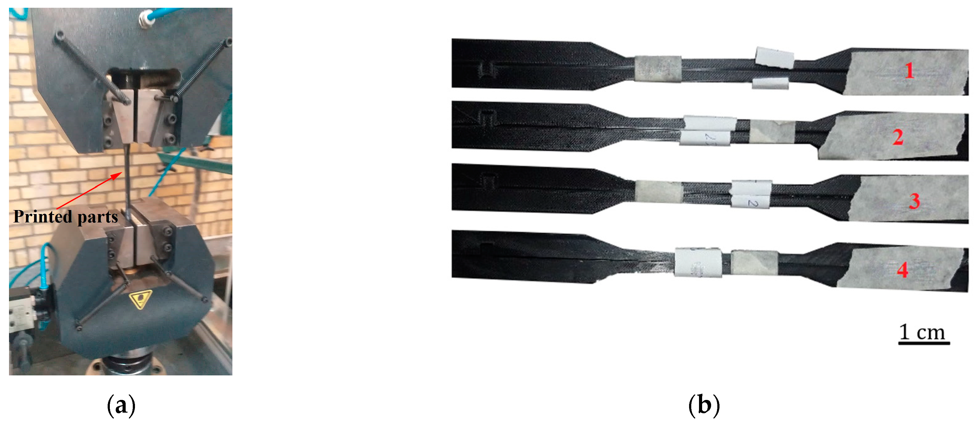 Jcs 07 00151 g004 Jcs 07 00151 g004