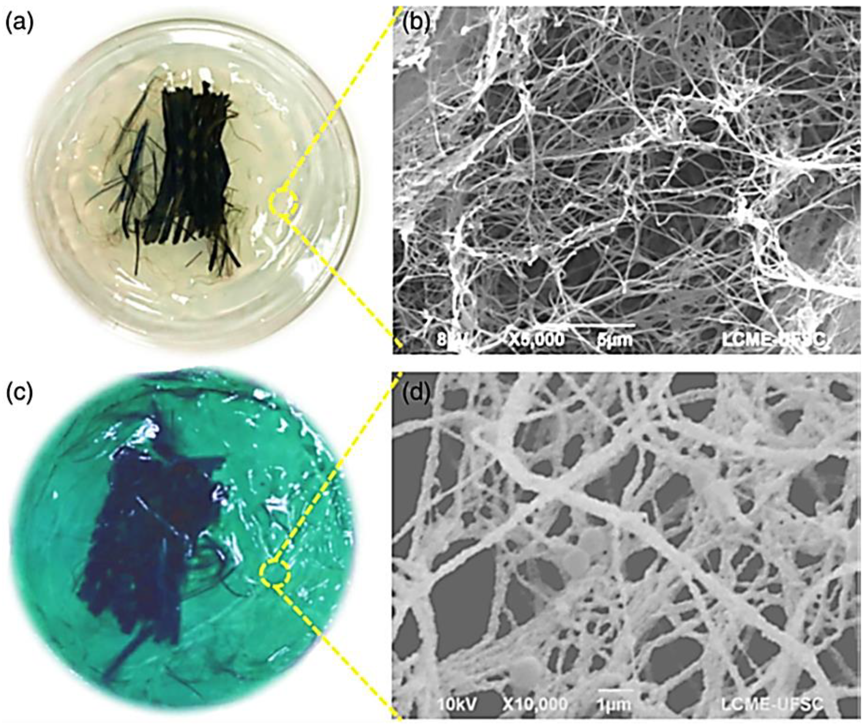 Jcs 07 00166 g002 Jcs 07 00166 g002