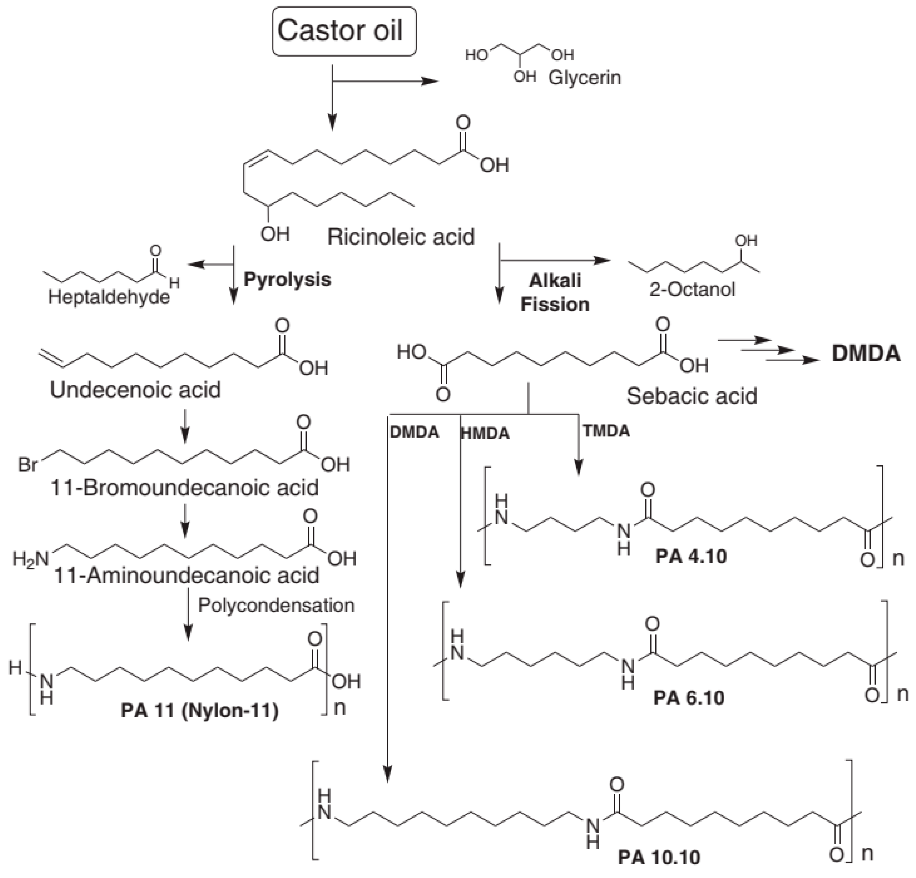 J. Compos. Sci. | Free Full-Text | Bio-Based Sustainable Polymers and ...